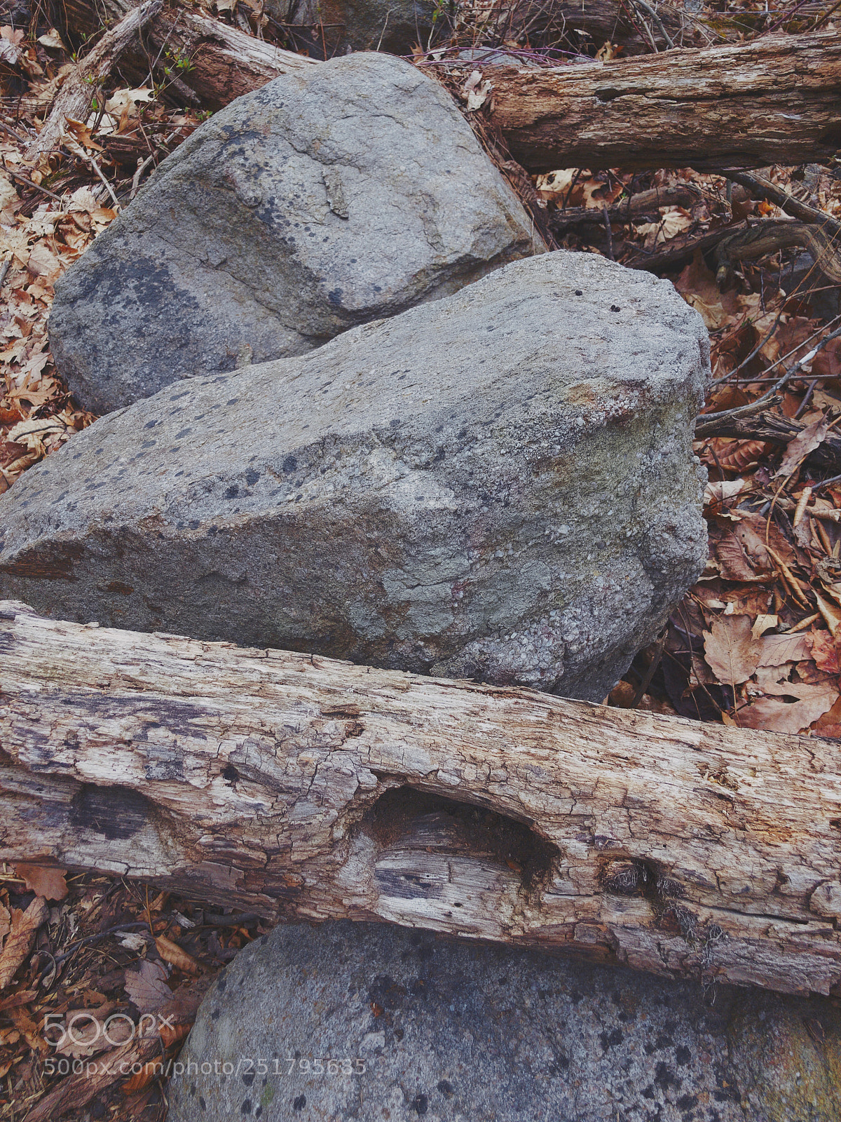 Apple iPhone 8 Plus sample photo. Fallen log and boulders  photography