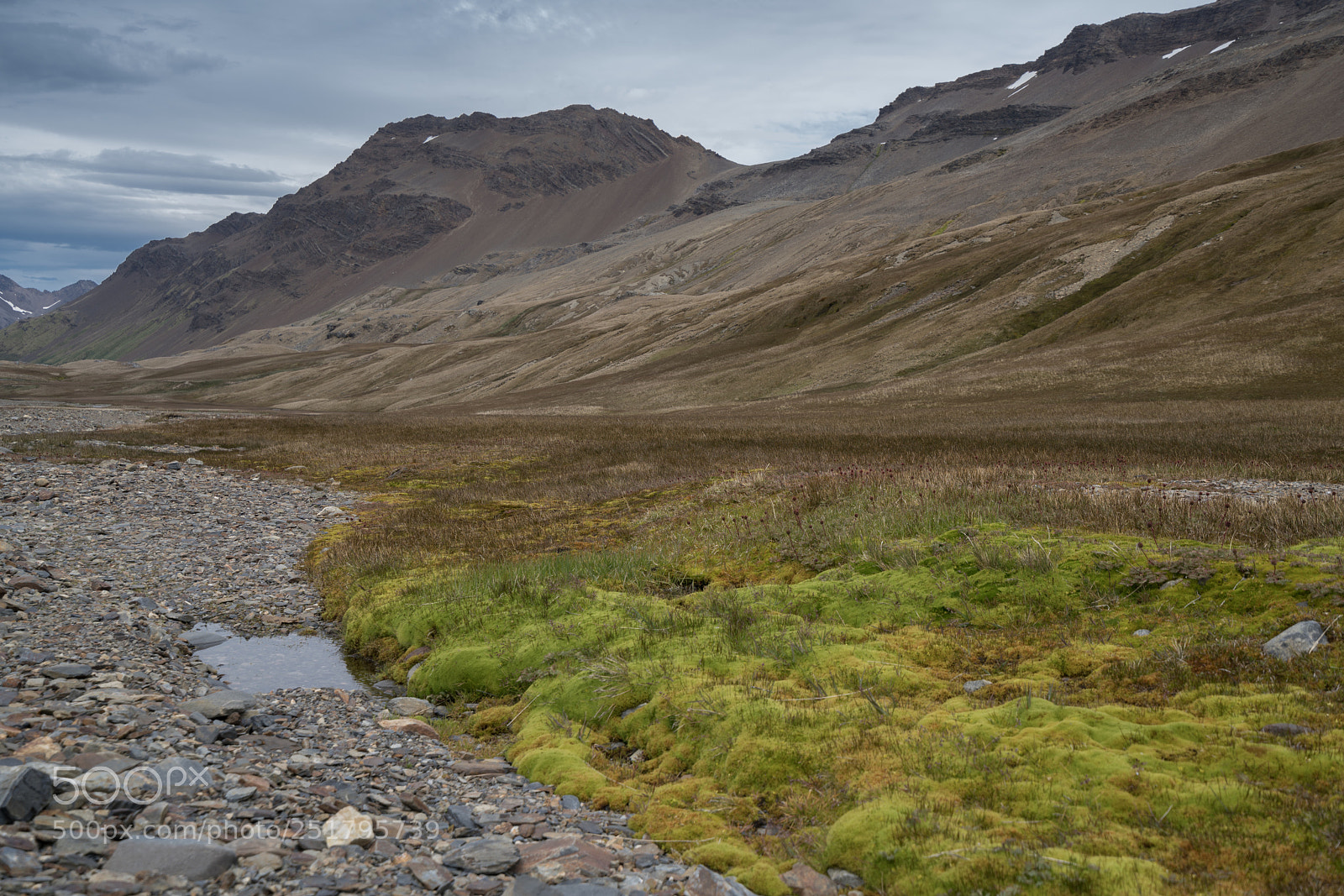 Sony a7R II sample photo. Stromness, south georgia photography