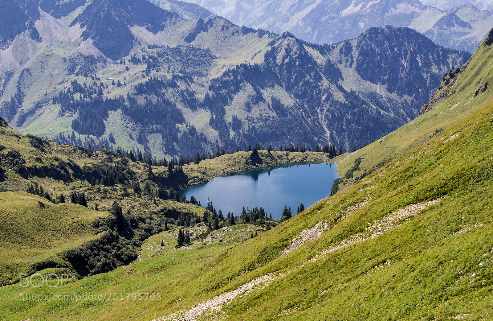 Canon EOS 60D sample photo. Alpsee photography