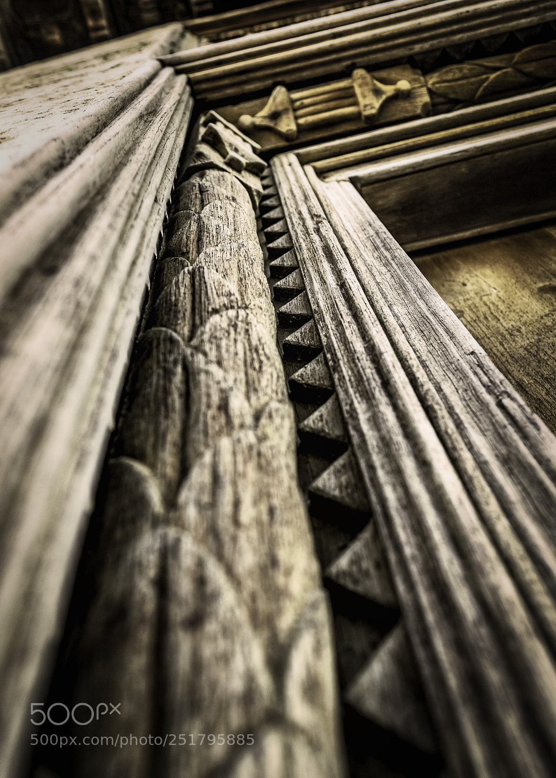 Nikon D3100 sample photo. Detail photography