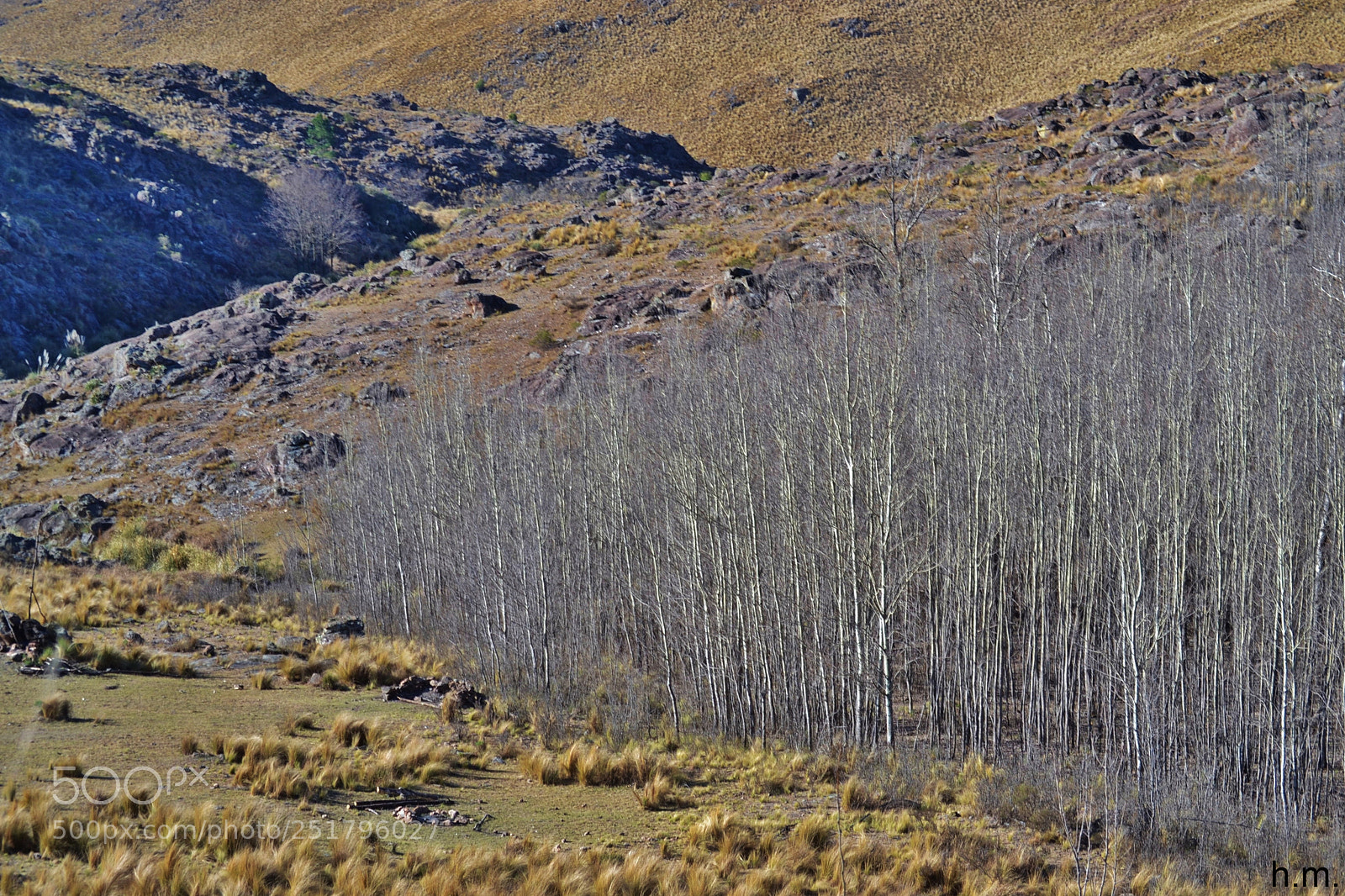 Nikon D3100 sample photo. Beo photography