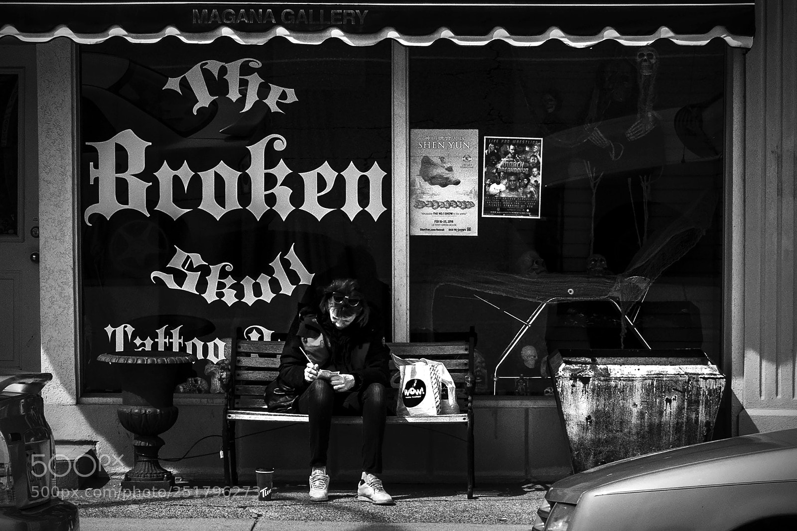 Nikon D500 sample photo. Doodle. windsor, on. photography