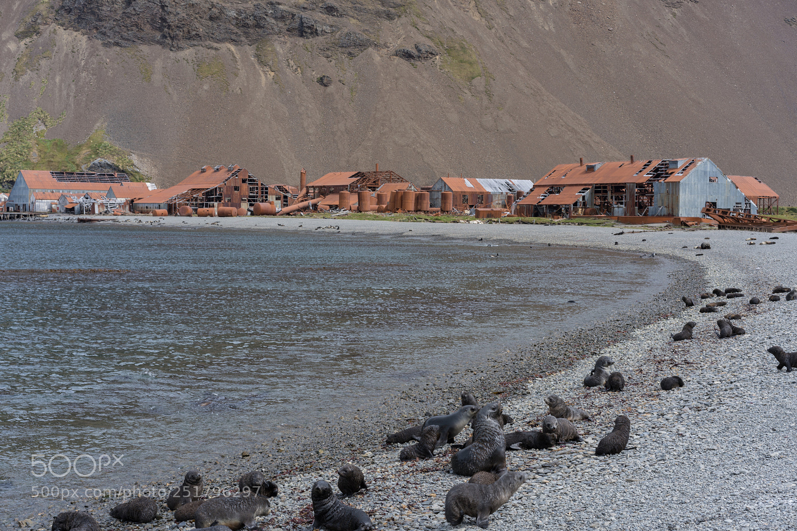 Sony a7R II sample photo. Stromness, south georgia photography