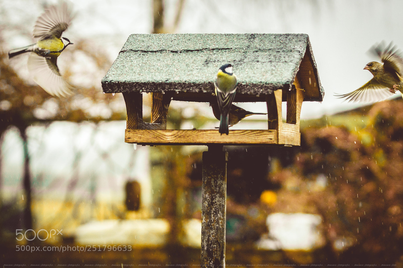 Sony ILCA-77M2 sample photo. E r s t photography