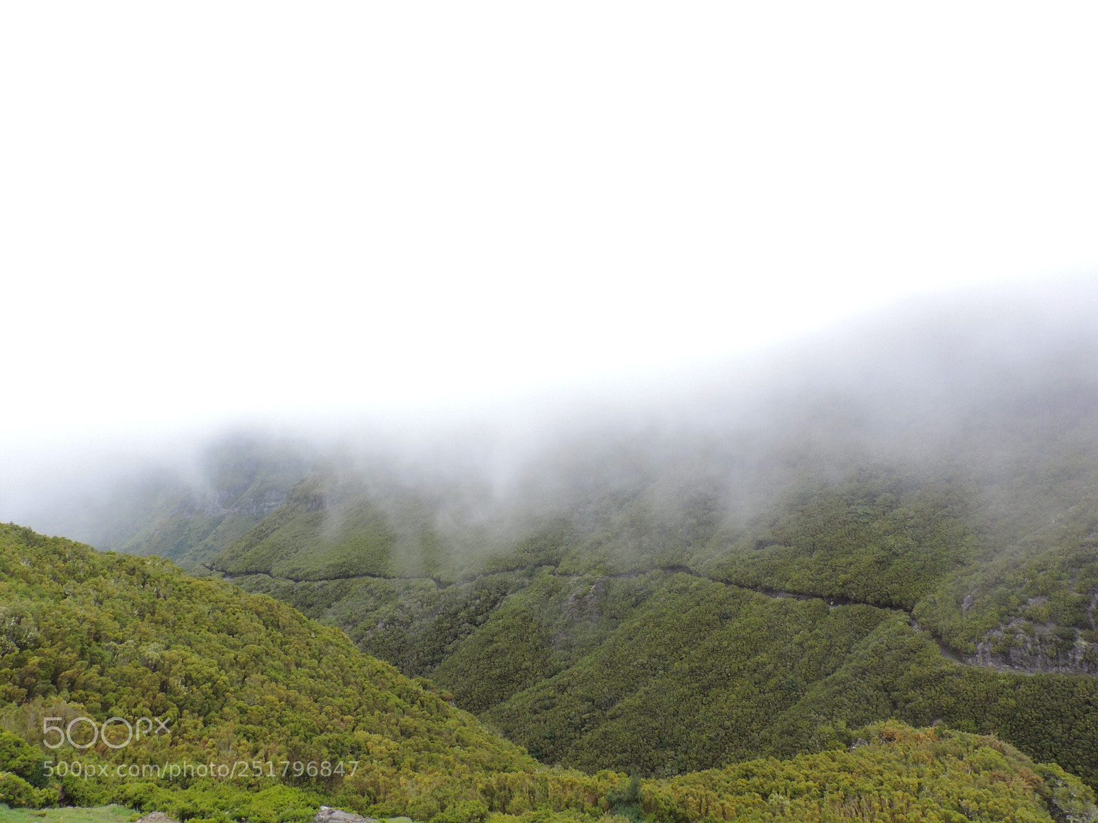 Nikon Coolpix P530 sample photo. Madeira island, portugal photography