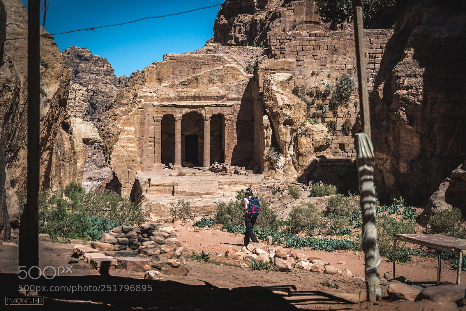 Nikon D500 sample photo. Garden in petra photography