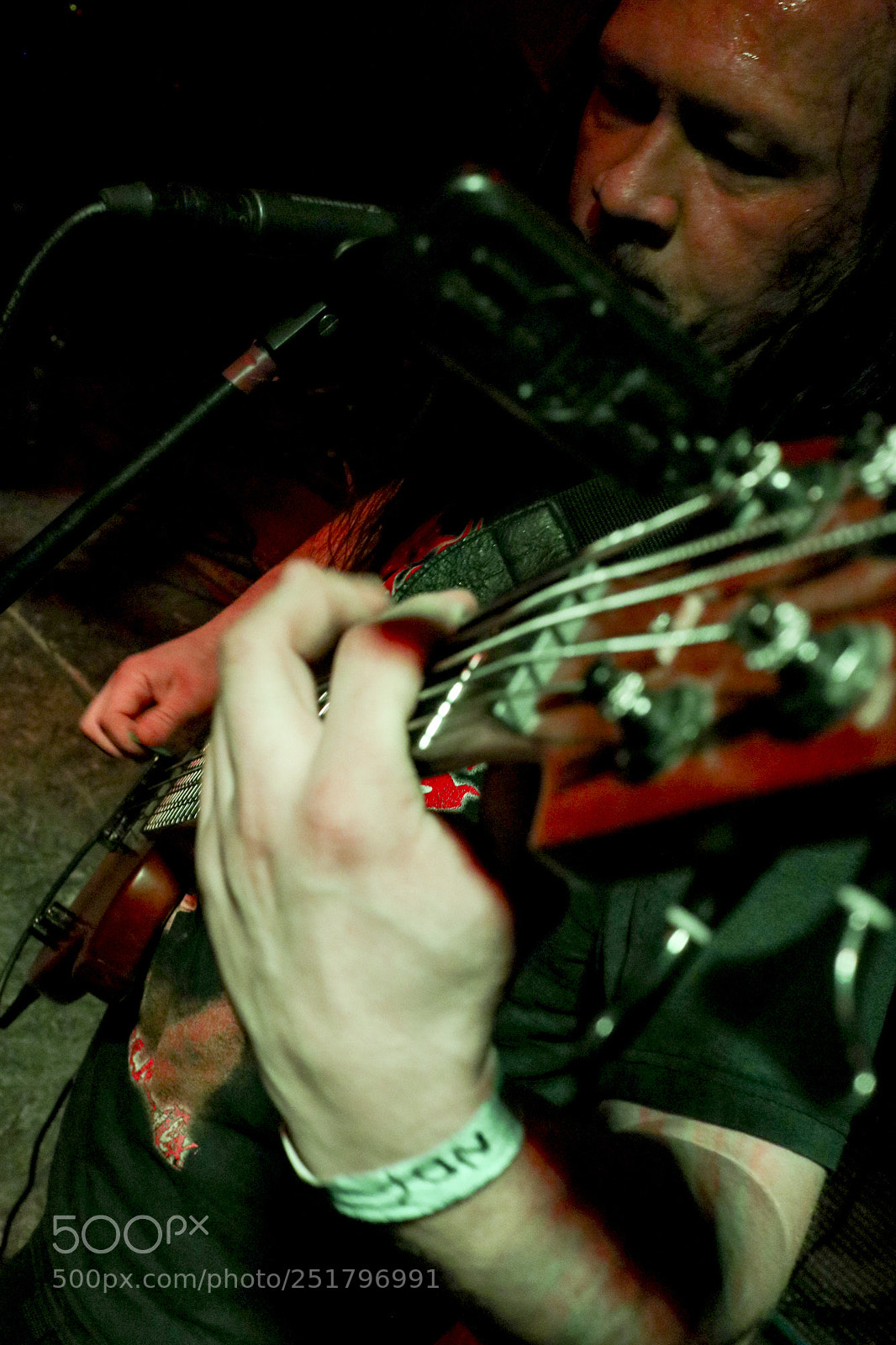 Canon EOS M5 sample photo. 5 strings (fleshgore) photography
