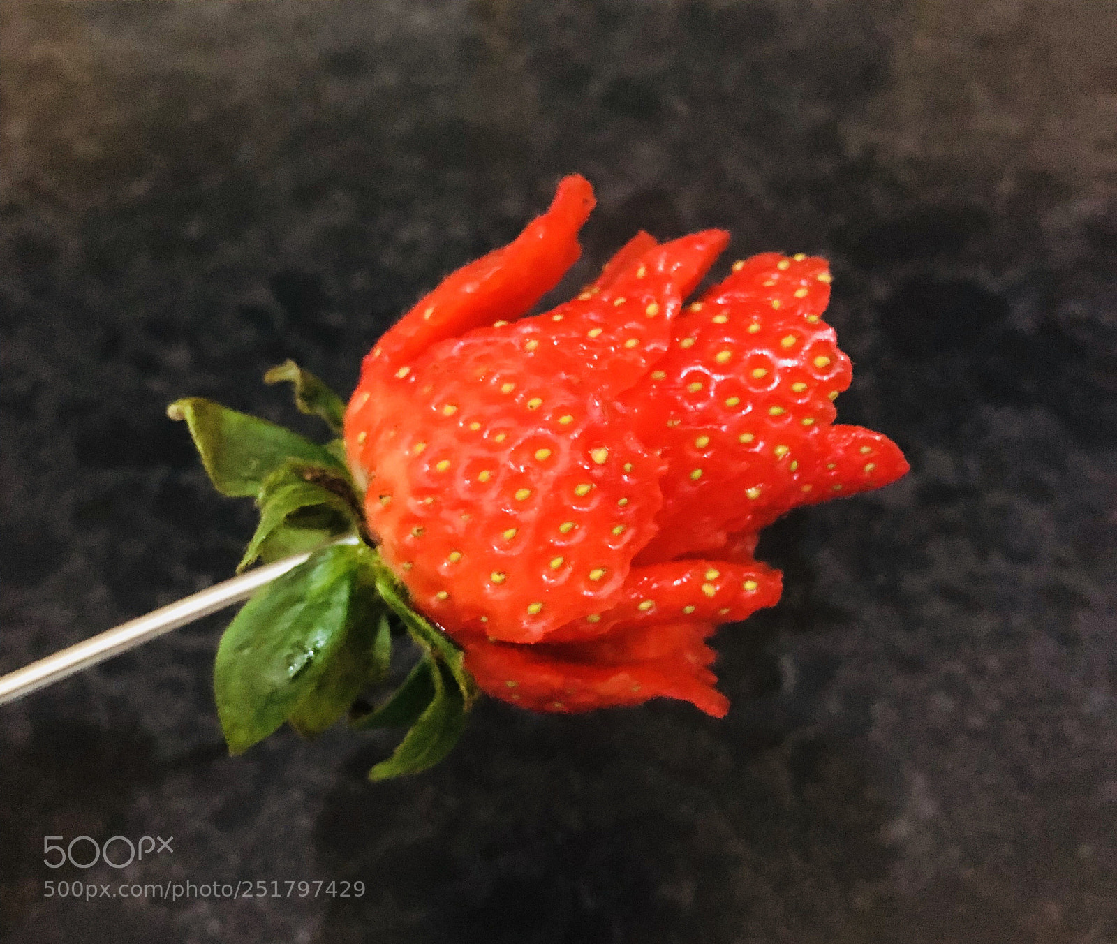 Apple iPhone 8 sample photo. Strawberry rose? photography