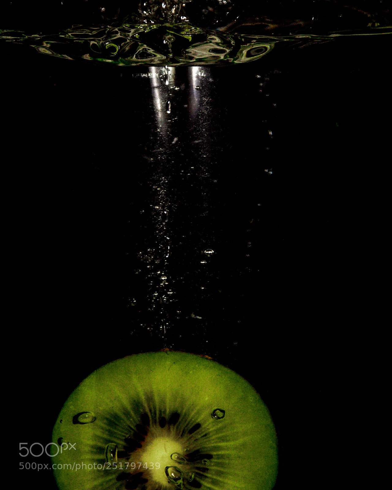 Nikon D5300 sample photo. Green underwater photography
