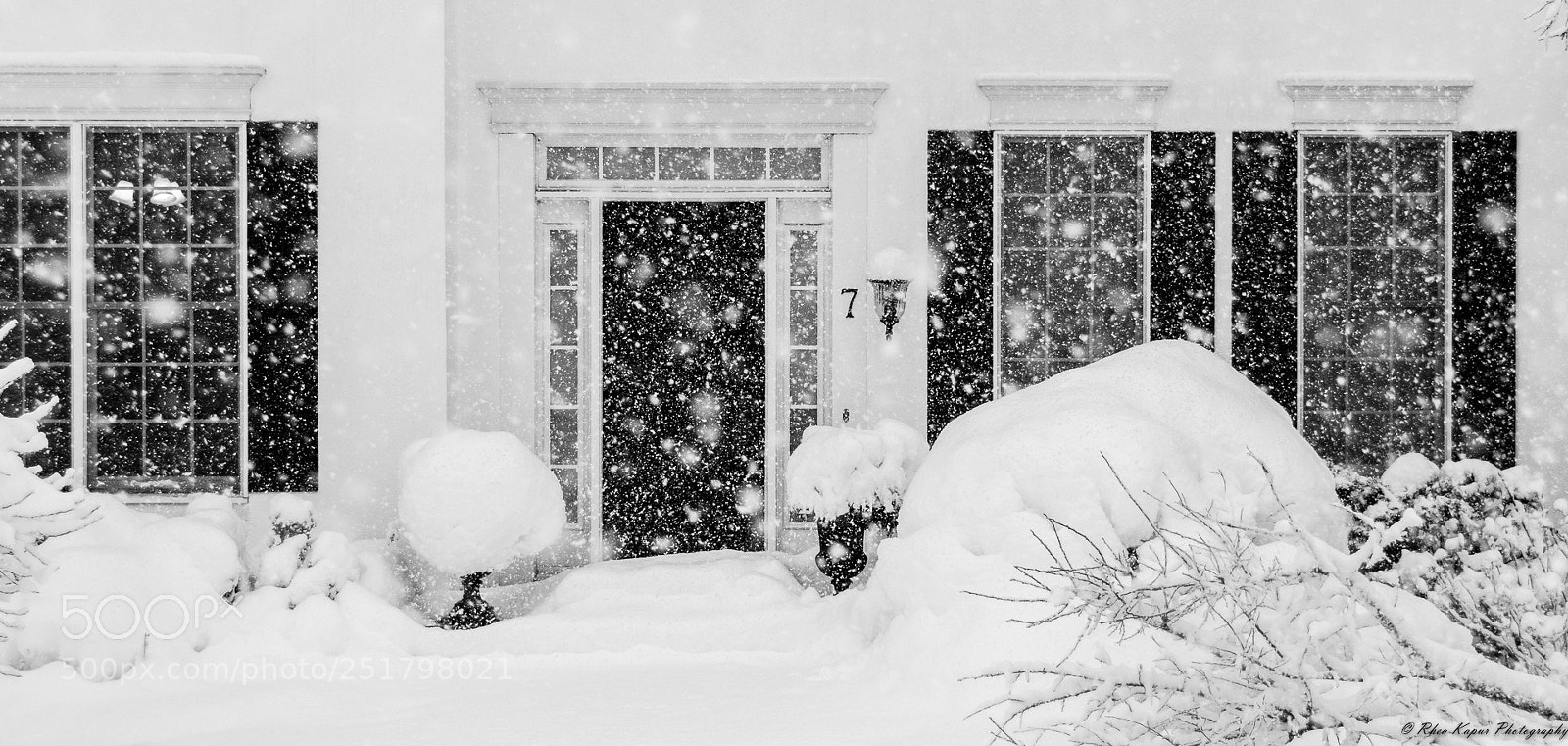 Nikon D5600 sample photo. A snowy contrast photography