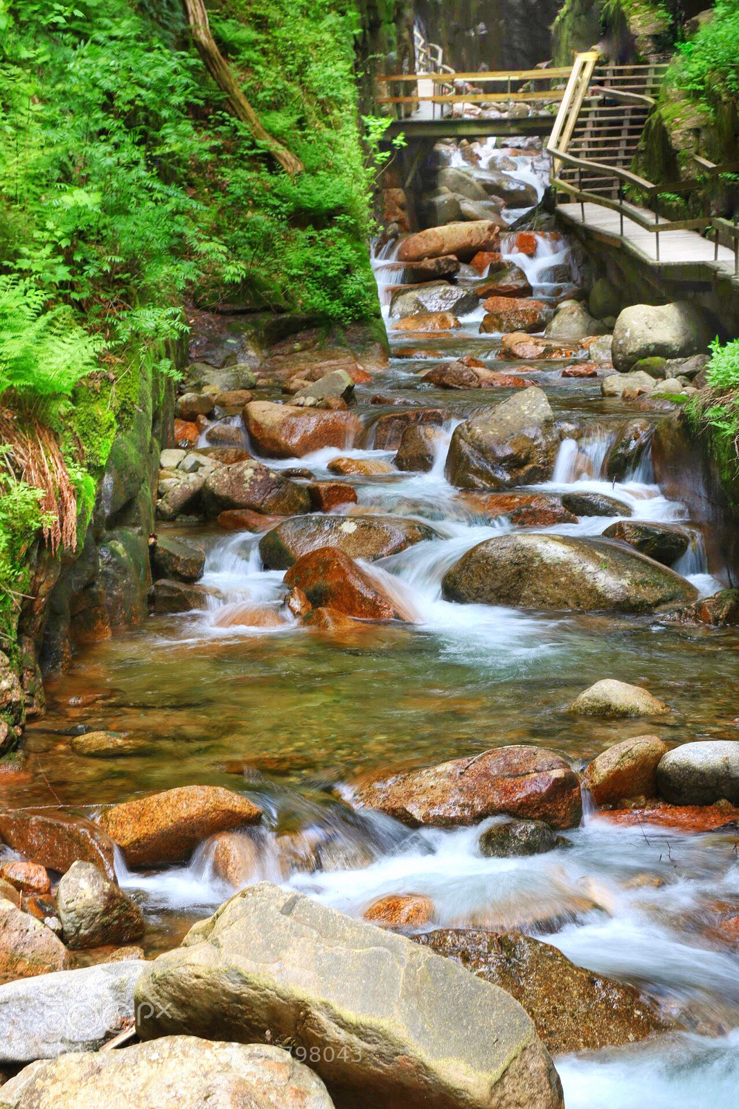 Canon EOS 750D (EOS Rebel T6i / EOS Kiss X8i) sample photo. Lovely... photography