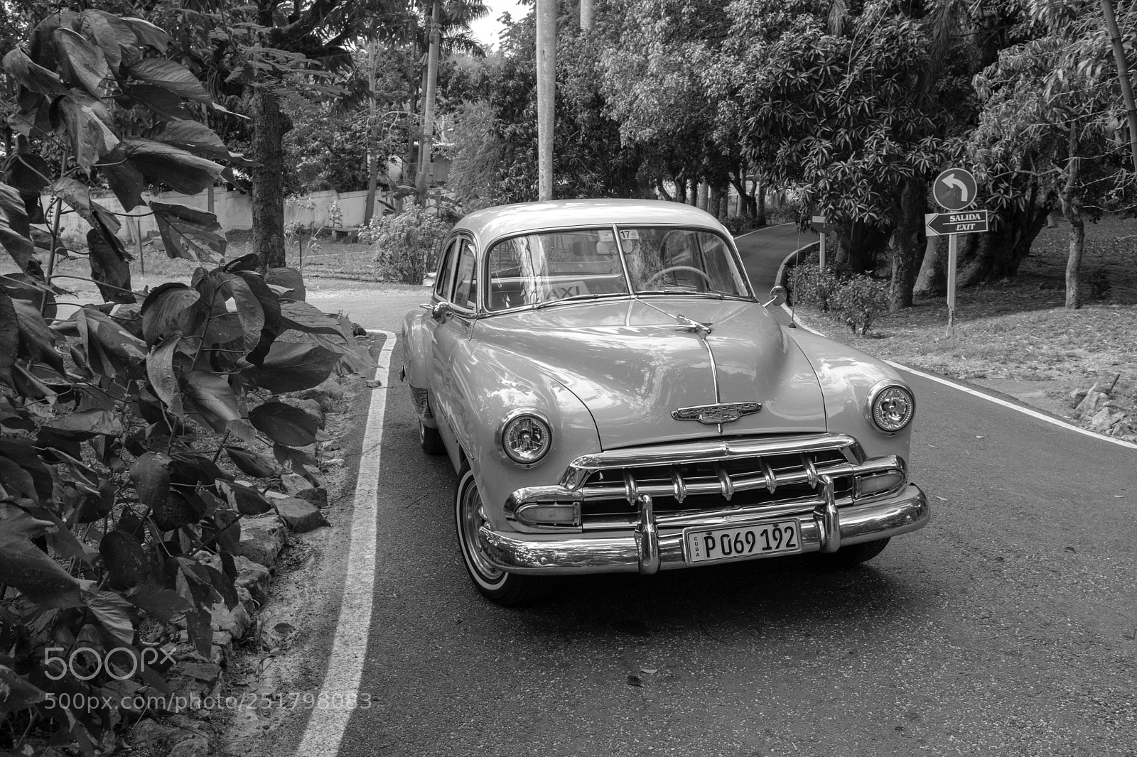 Fujifilm X100F sample photo. Shiny photography