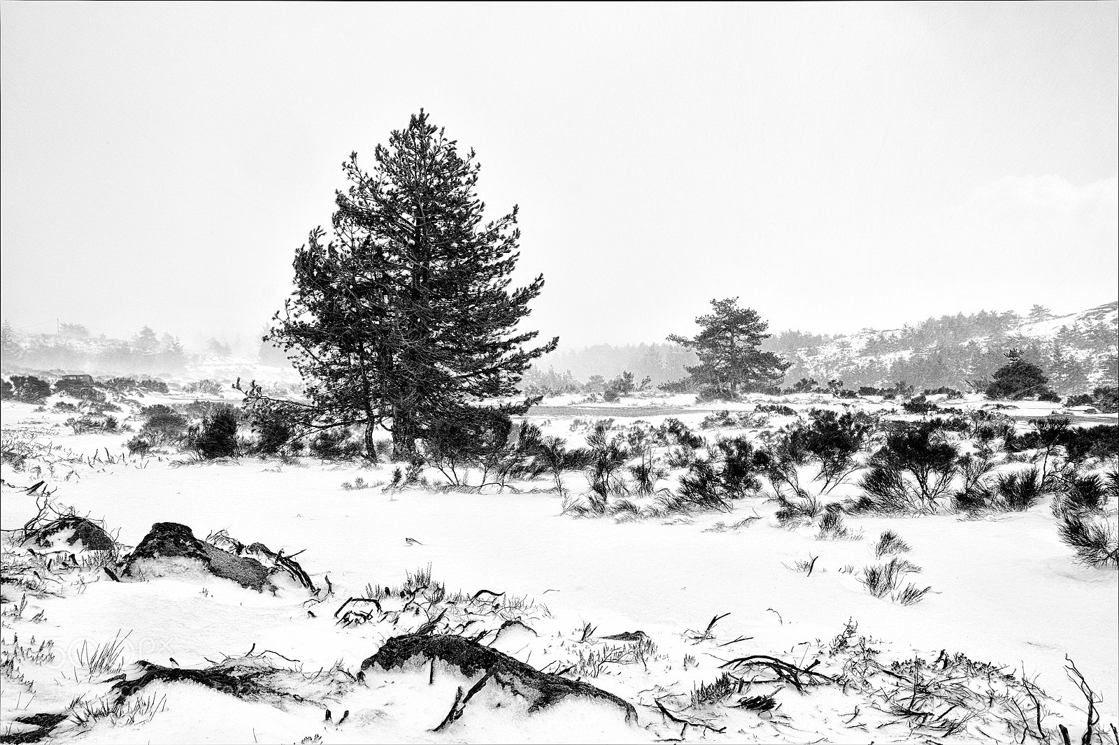 Fujifilm X-T10 sample photo. Serra da estrela blizzard photography