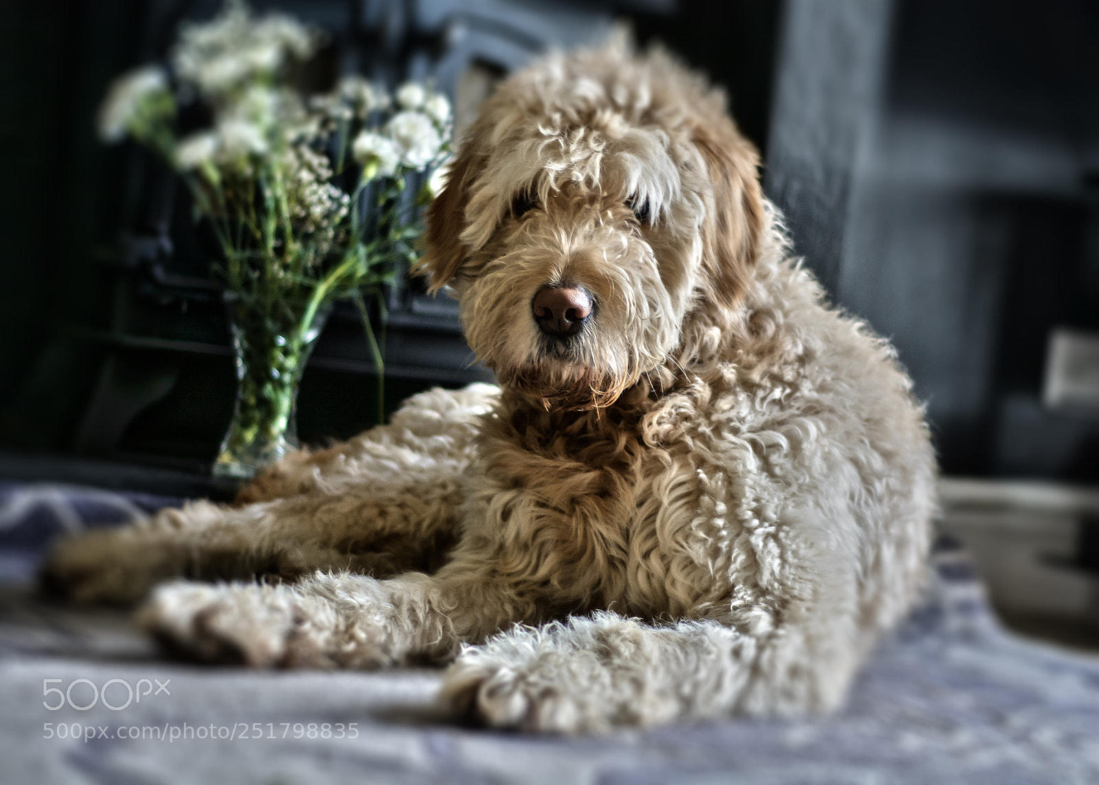 Nikon D7100 sample photo. Murphy photography
