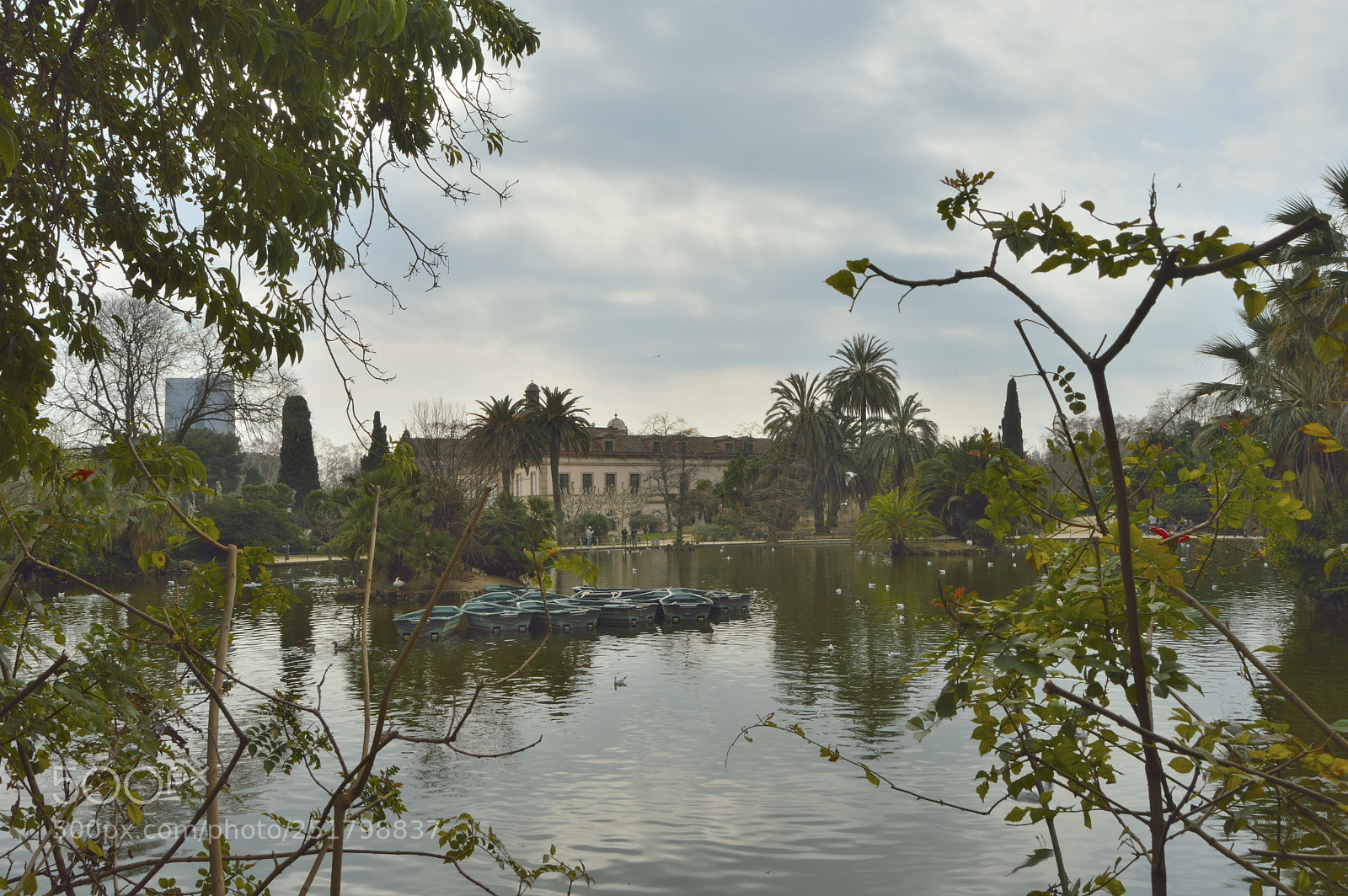 Nikon D3200 sample photo. Parc de la ciutadella photography