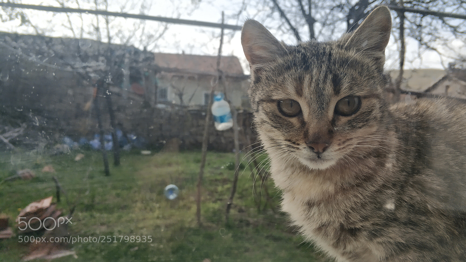 Xiaomi Mi Note 3 sample photo. Untitled photography