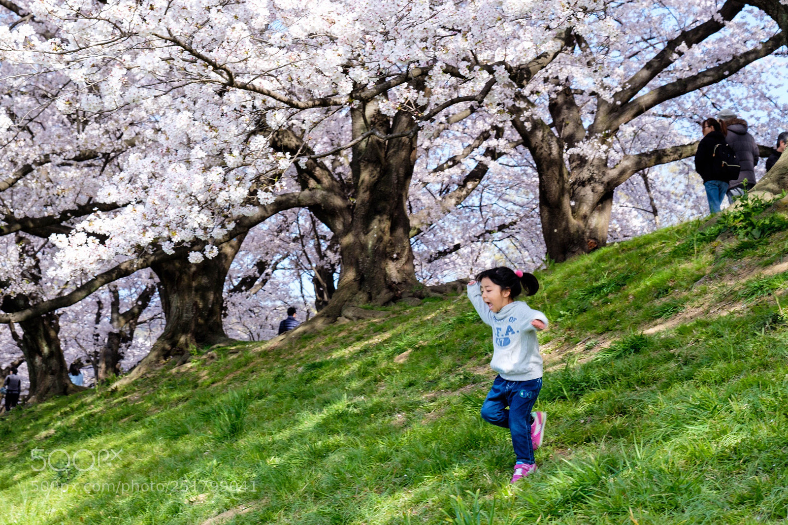 Fujifilm X-Pro2 sample photo. Sewaritei, yawatashi, kyoto. photography
