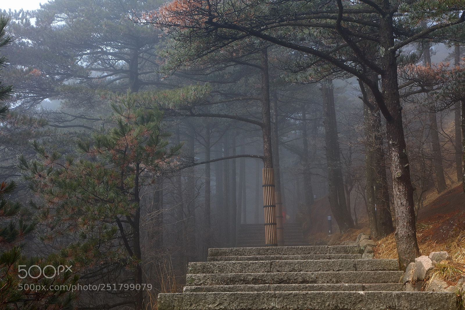Canon EOS 5DS sample photo. Stairs photography