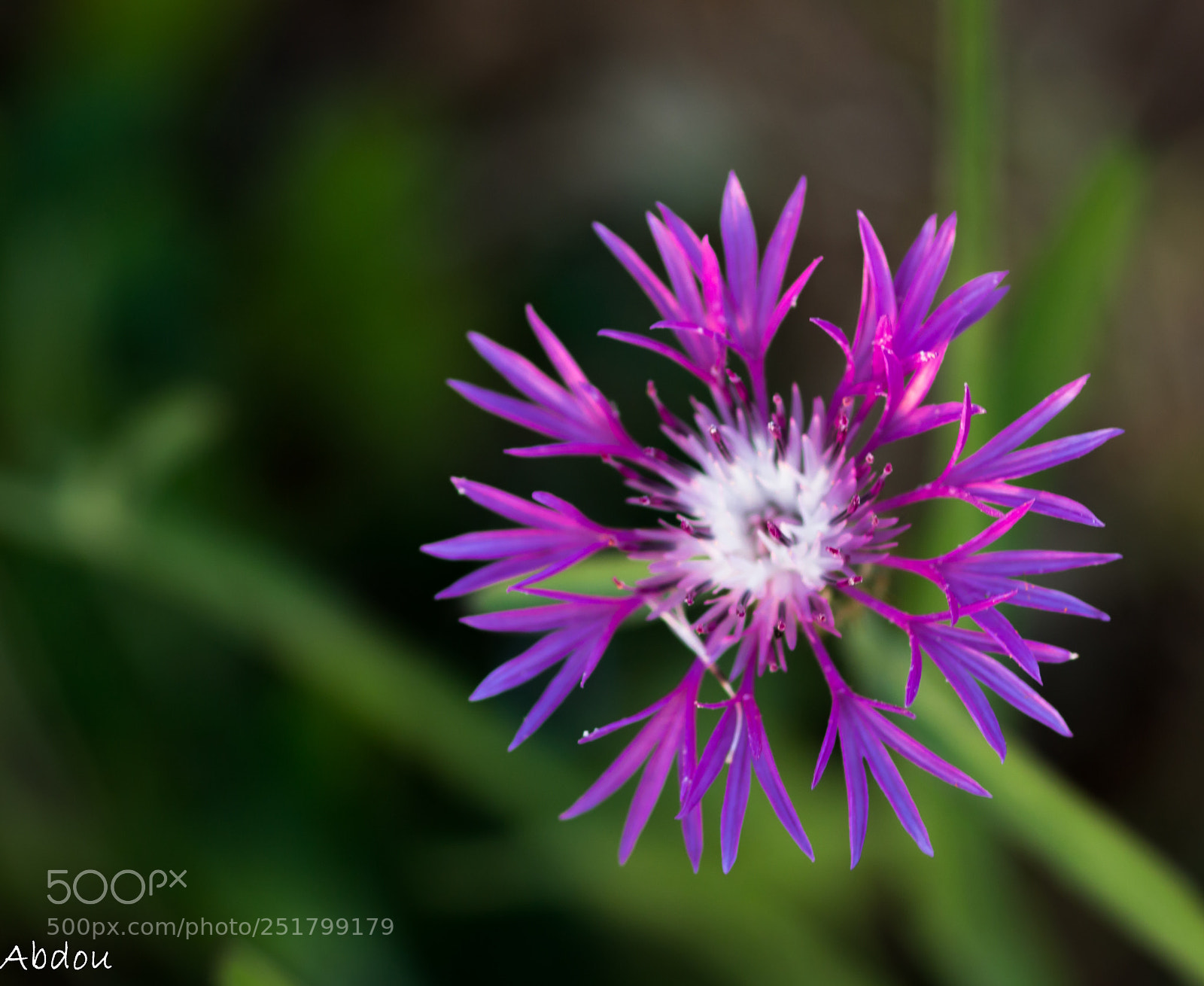 Canon EOS 70D sample photo. Untitled photography
