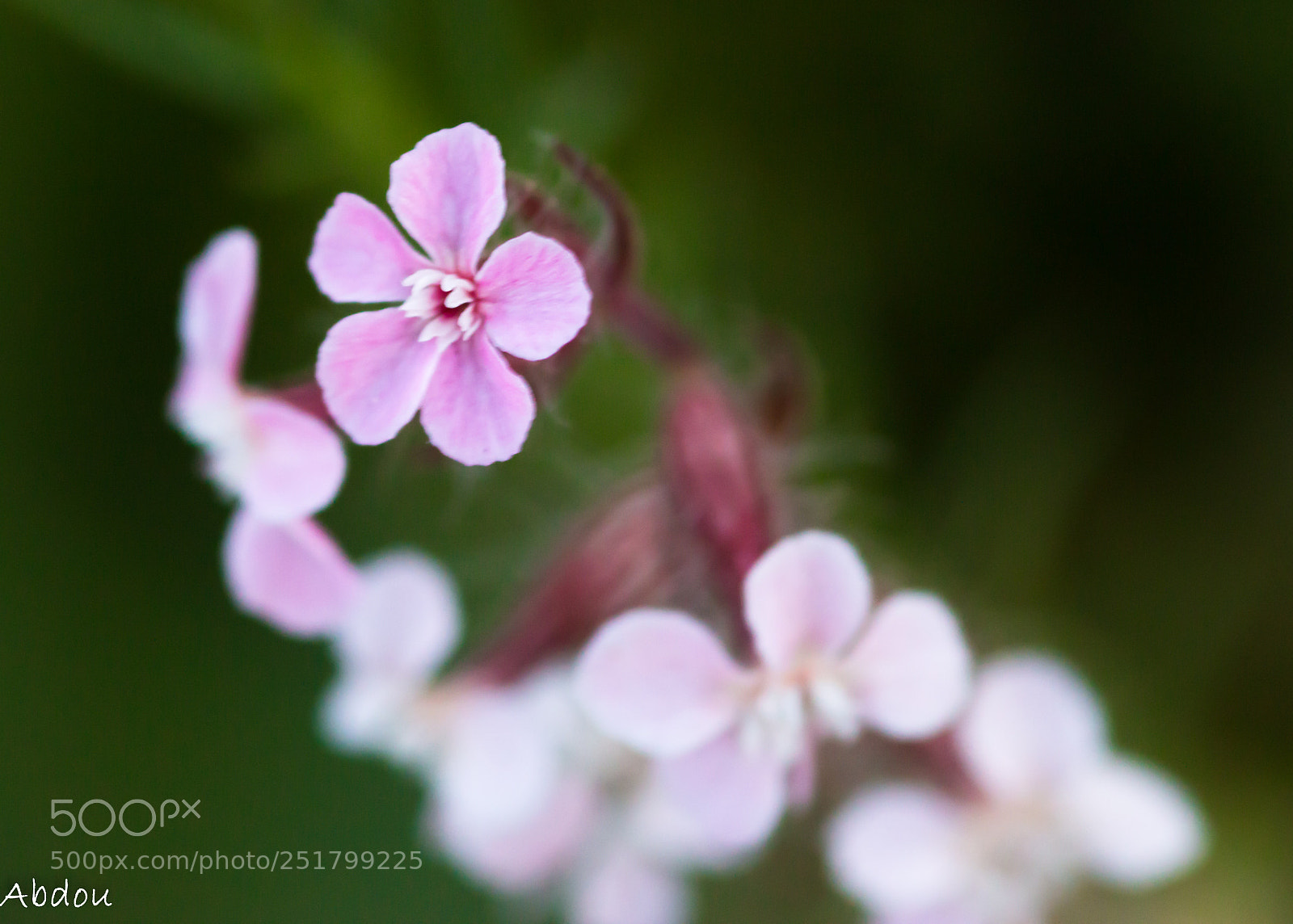 Canon EOS 70D sample photo. Untitled photography