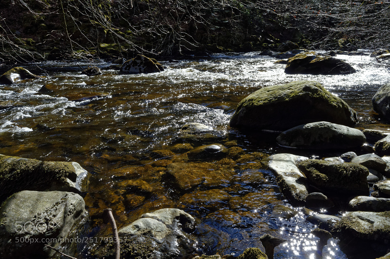 Nikon D3200 sample photo. Dsc photography