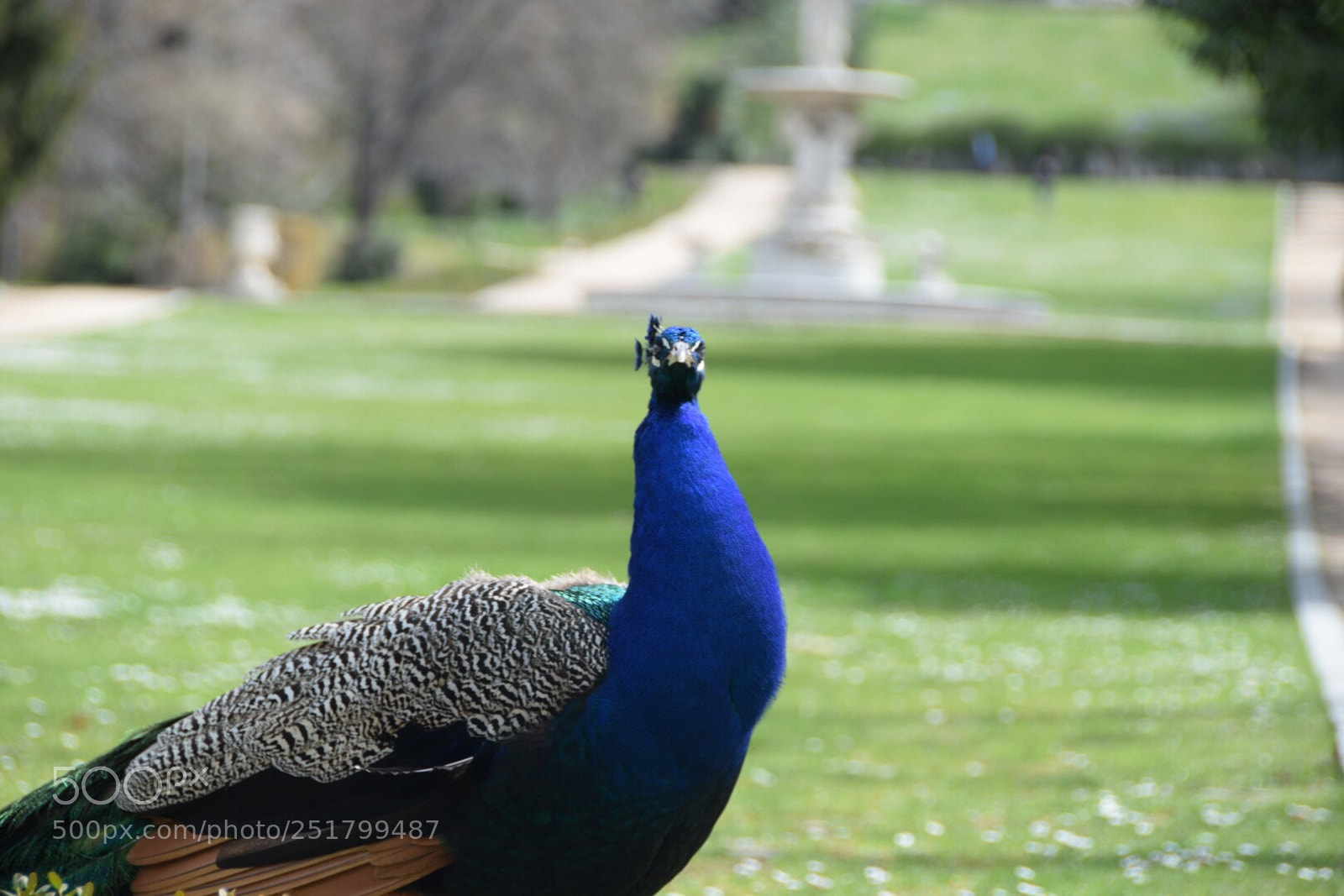 Nikon D5300 sample photo. Jardines campo del moro photography