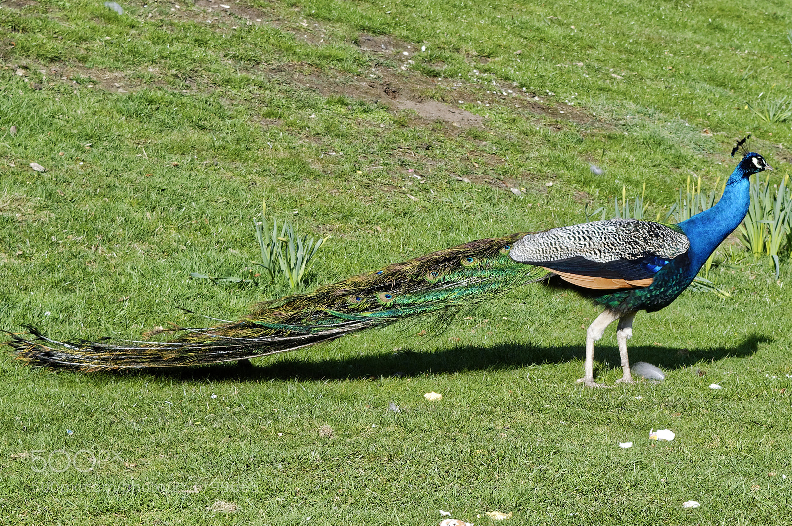 Nikon D3200 sample photo. Dsc photography