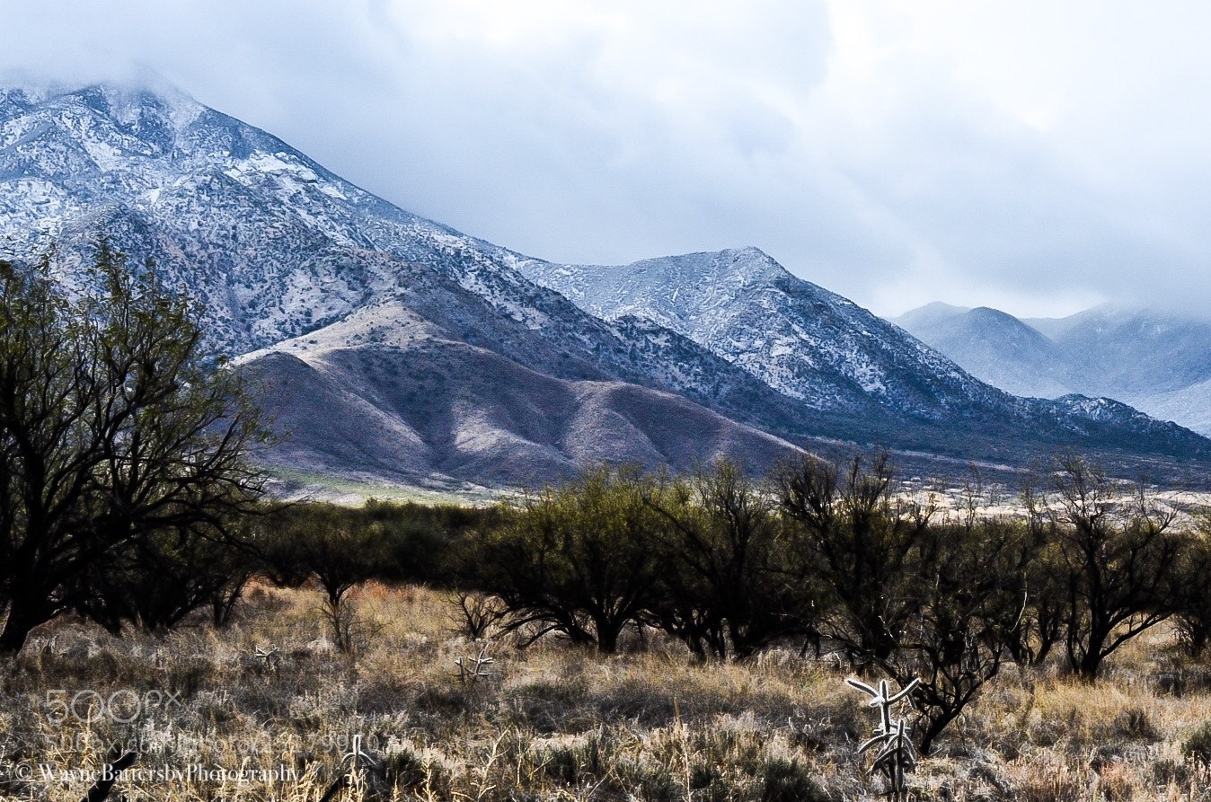 Nikon D7000 sample photo. Untitled photography