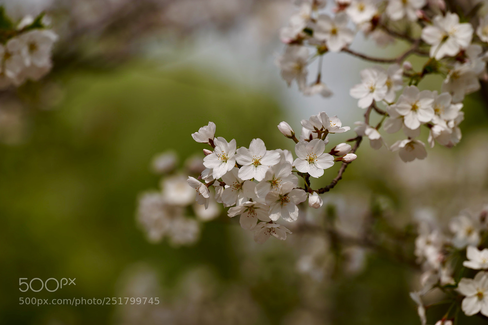 Leica SL (Typ 601) sample photo. Untitled photography