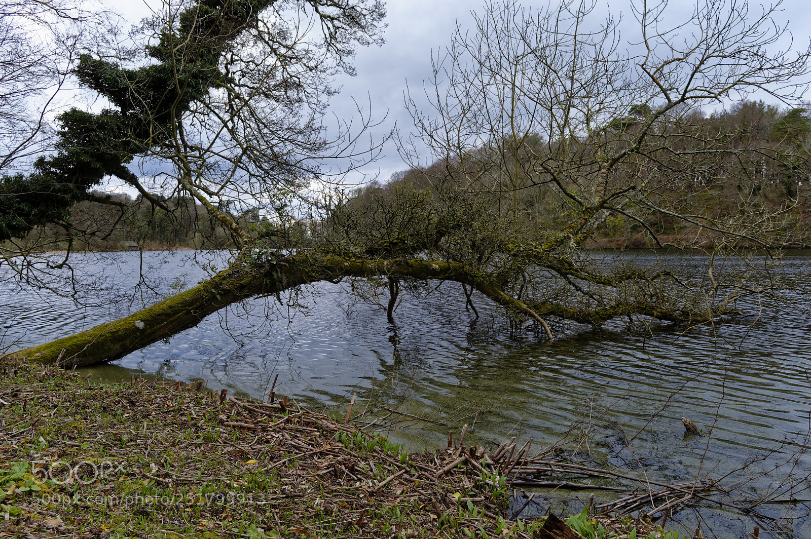 Nikon D3200 sample photo. Dsc photography
