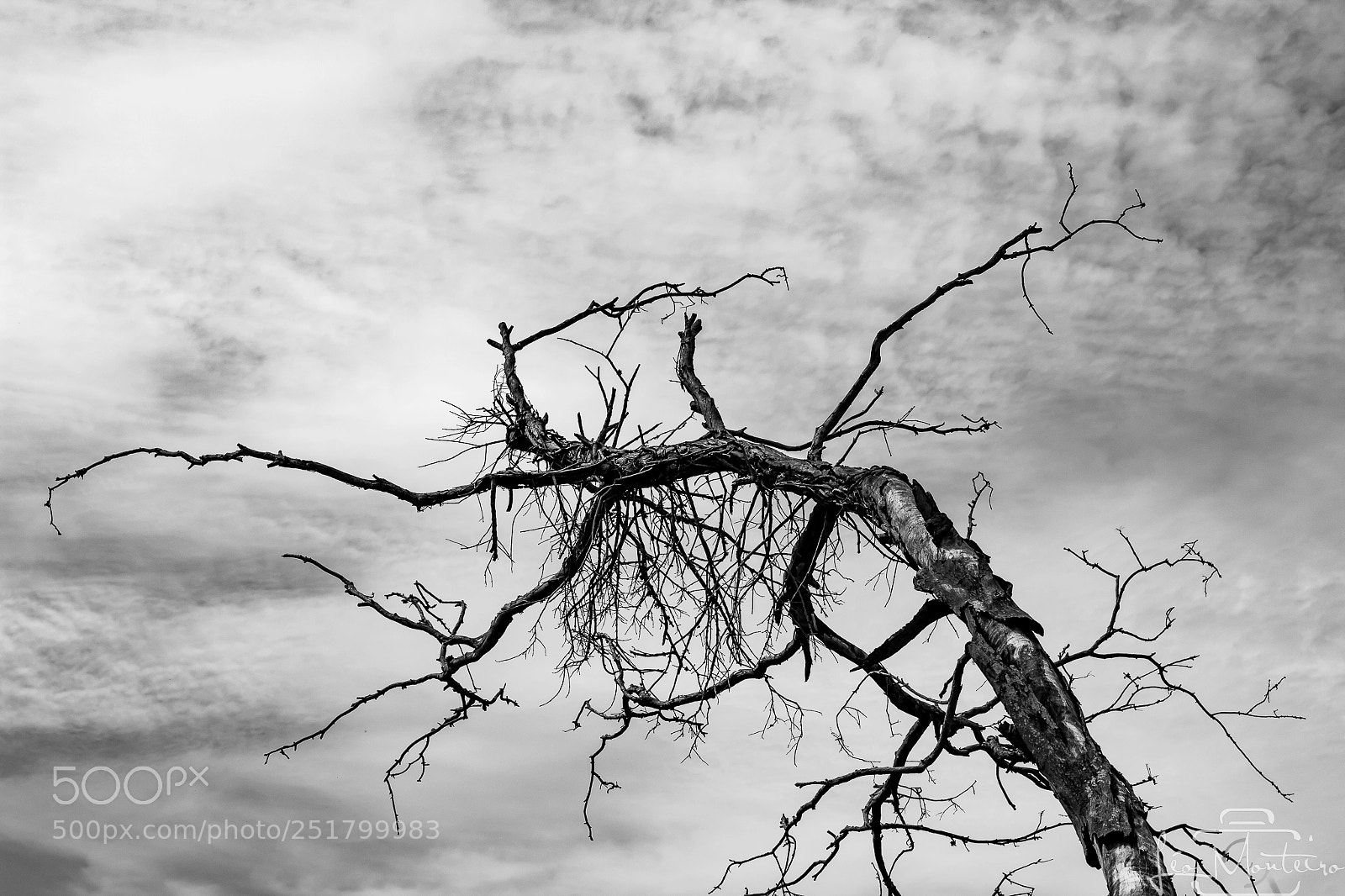 Canon EOS 70D sample photo. Nature & landscapes photography