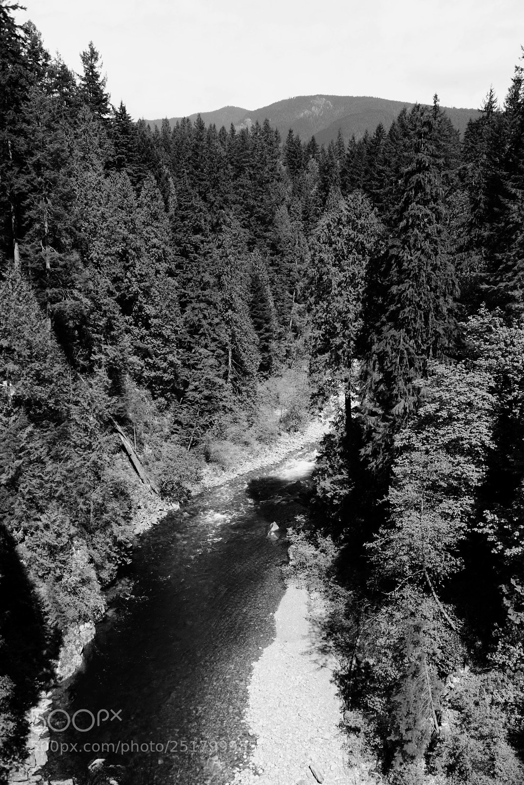 Nikon D600 sample photo. A river runs through photography