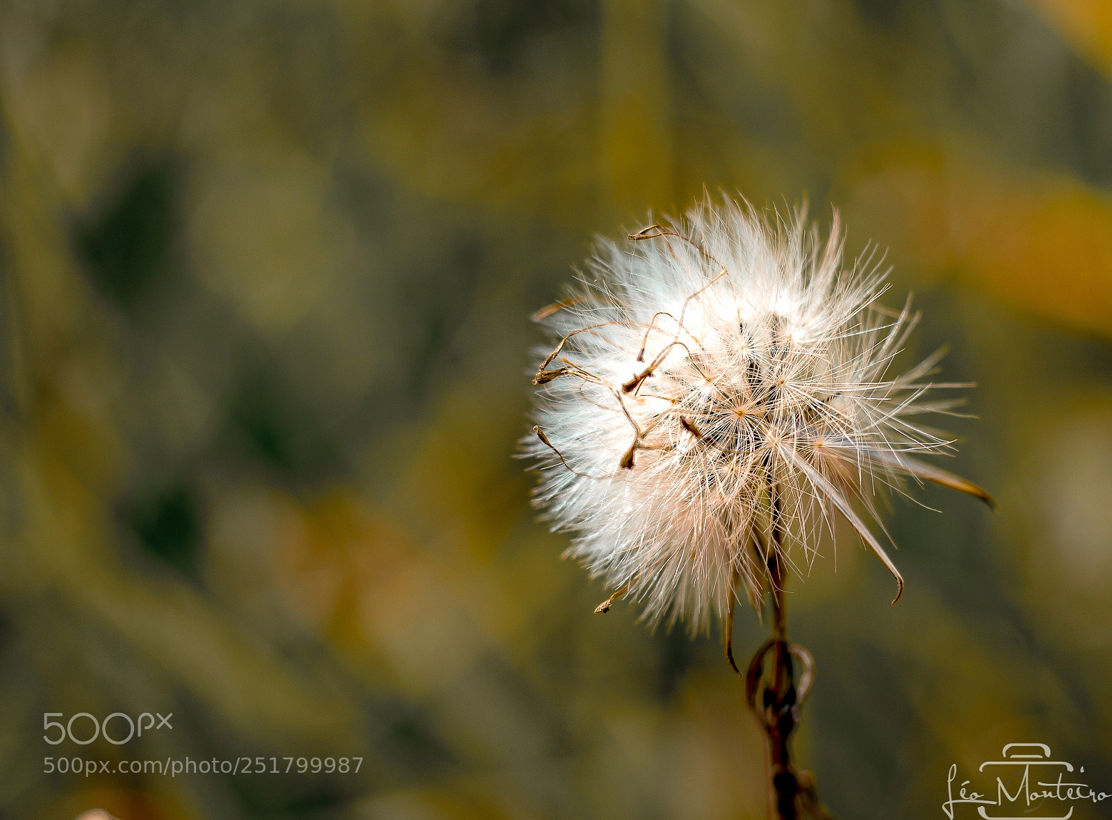 Canon EOS 70D sample photo. Nature & landscapes photography