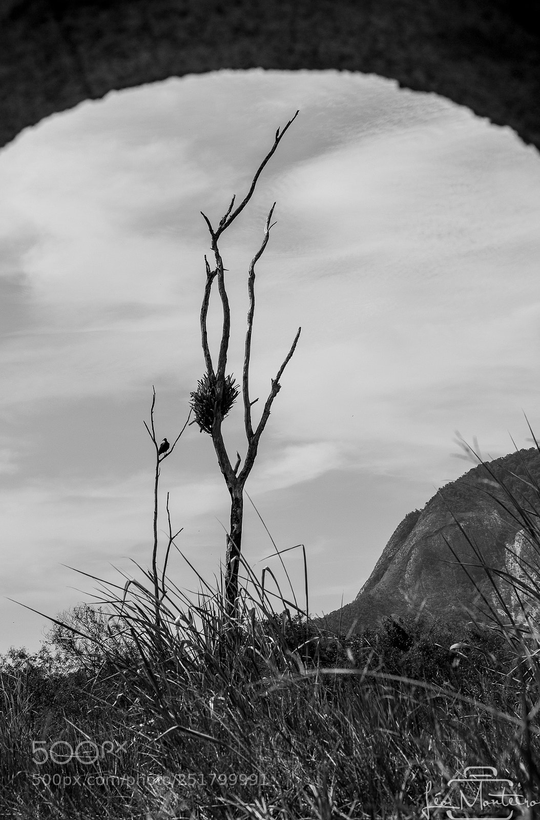 Canon EOS 70D sample photo. Nature & landscapes photography