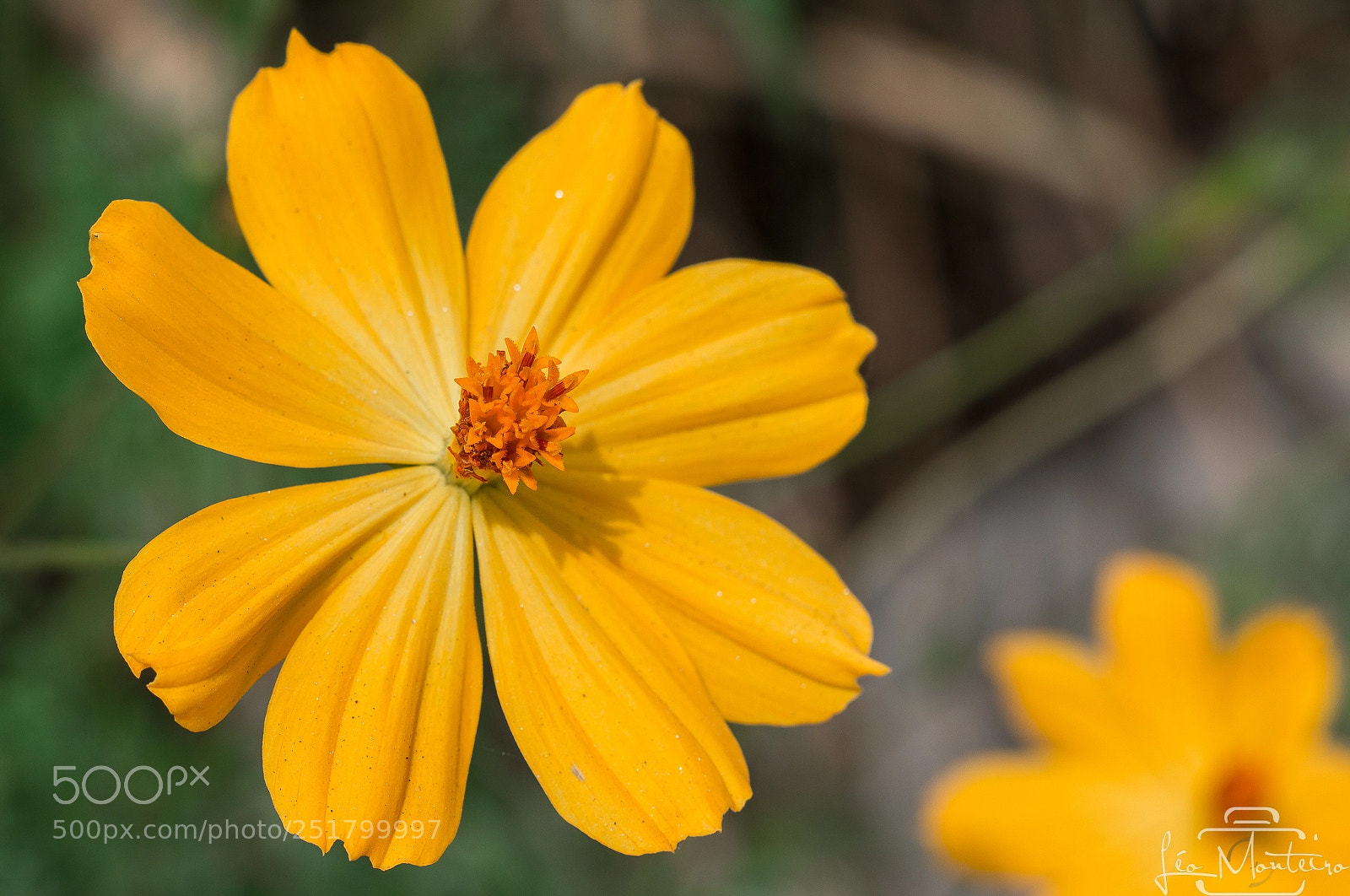 Canon EOS 70D sample photo. Nature & landscapes photography