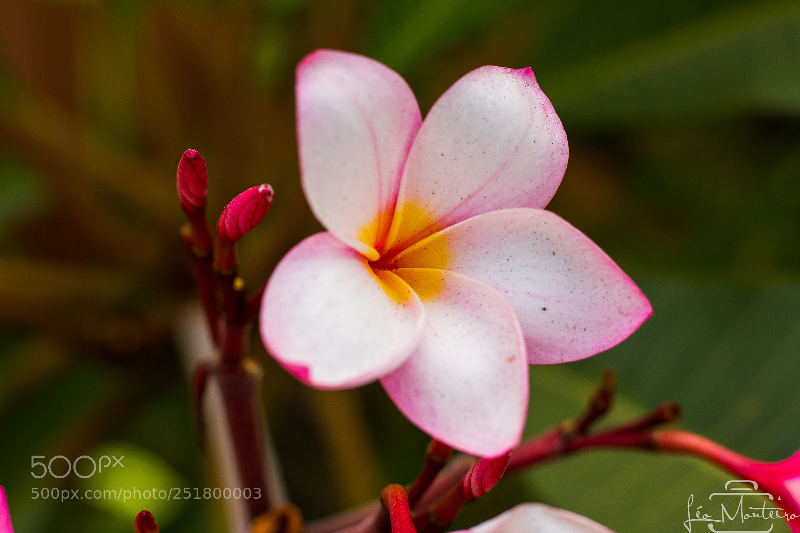 Canon EOS 70D sample photo. Nature & landscapes photography