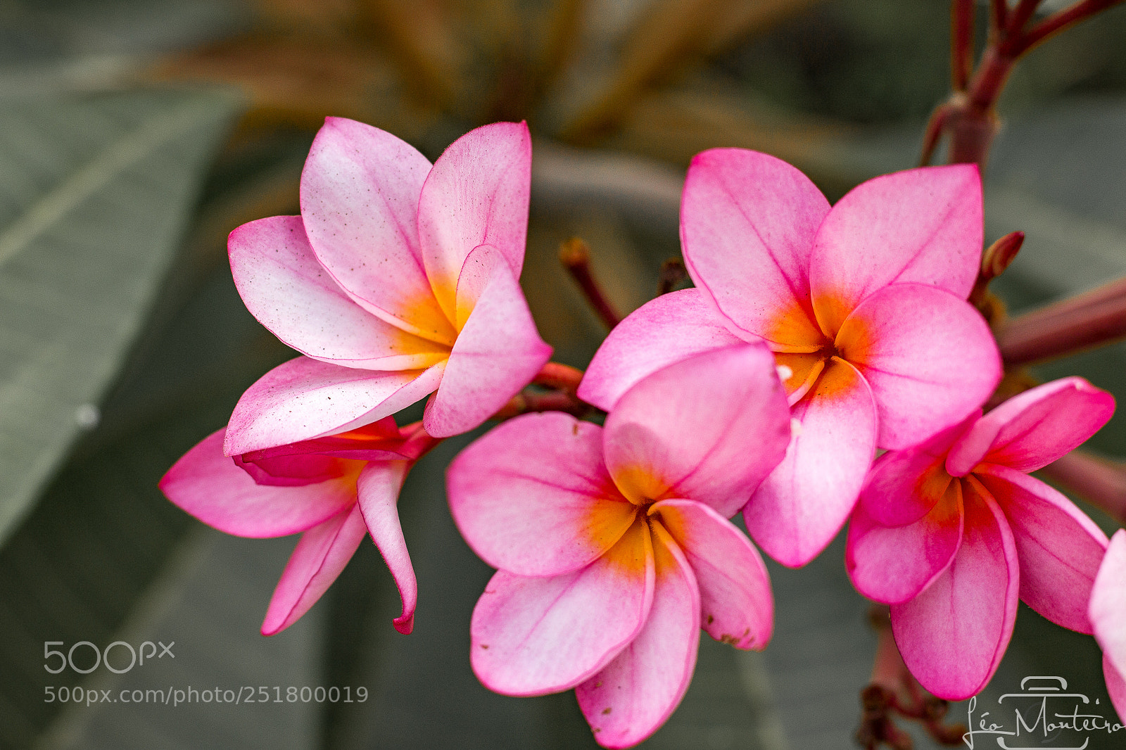 Canon EOS 70D sample photo. Nature & landscapes photography