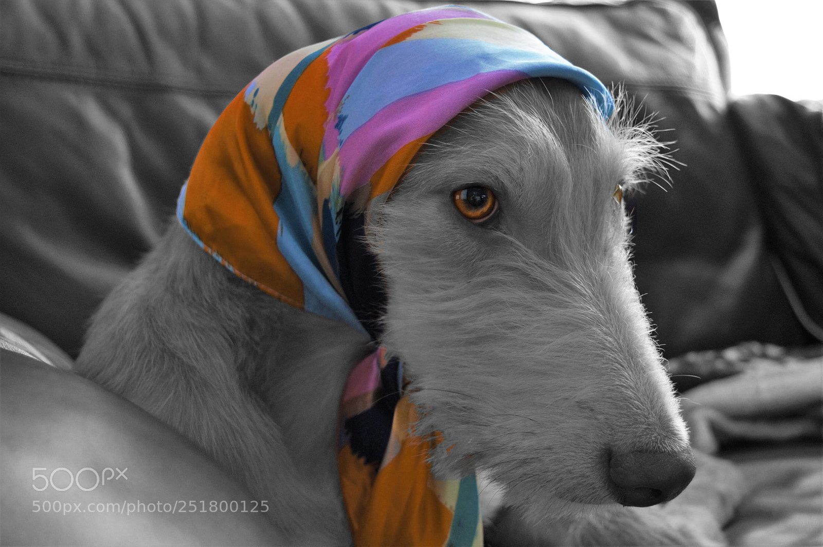 Nikon D3200 sample photo. Shoop dsc photography