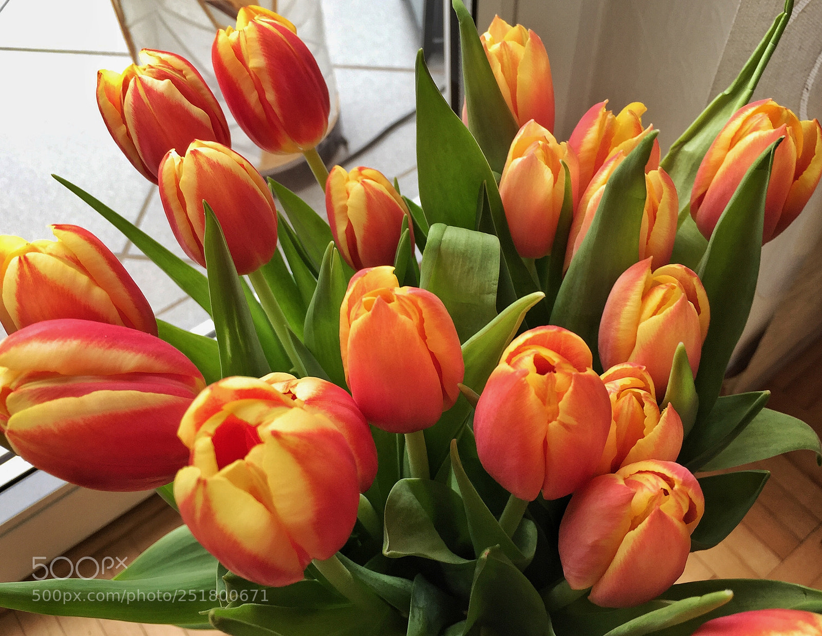 Apple iPhone 6 Plus sample photo. Lovely spring photography