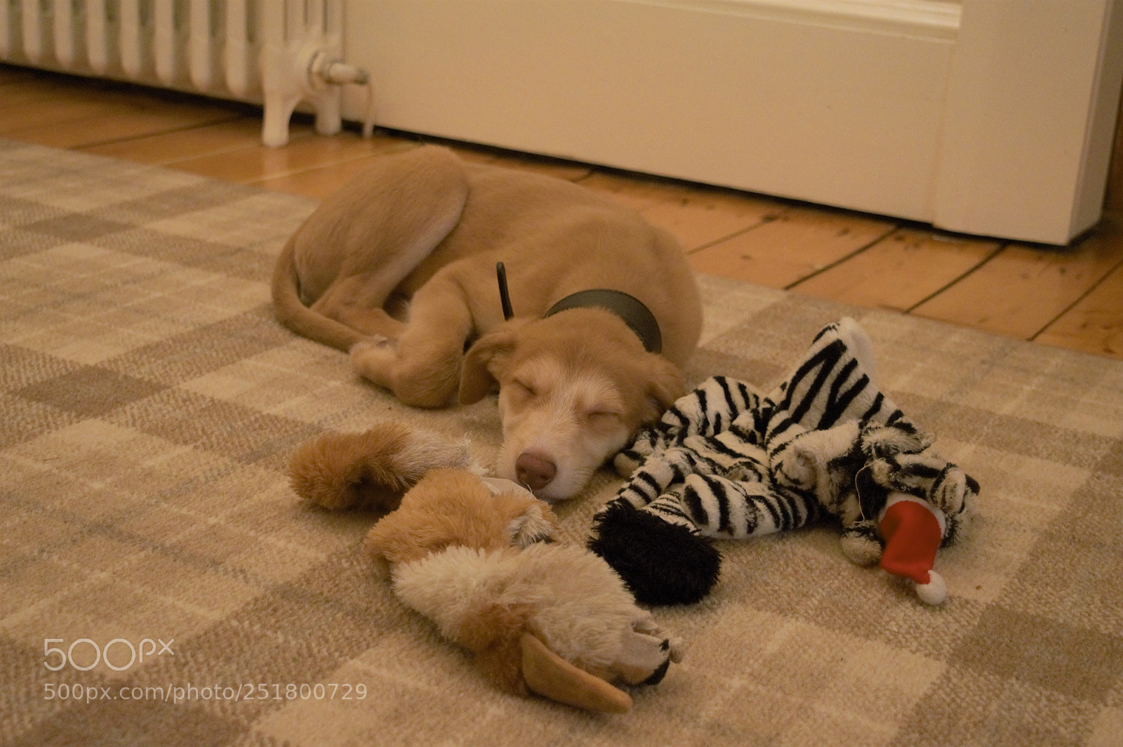 Nikon D3200 sample photo. () photography