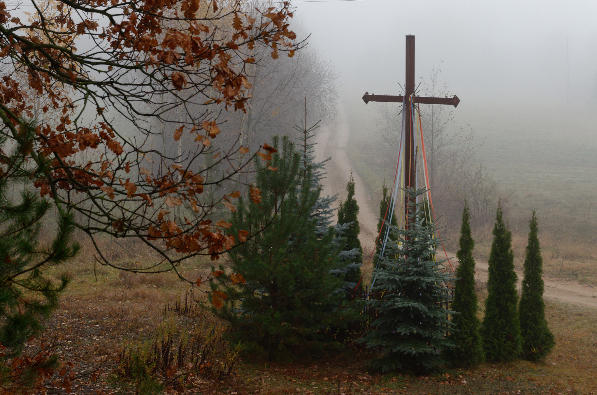 Nikon D7000 sample photo. Polish village 1 photography