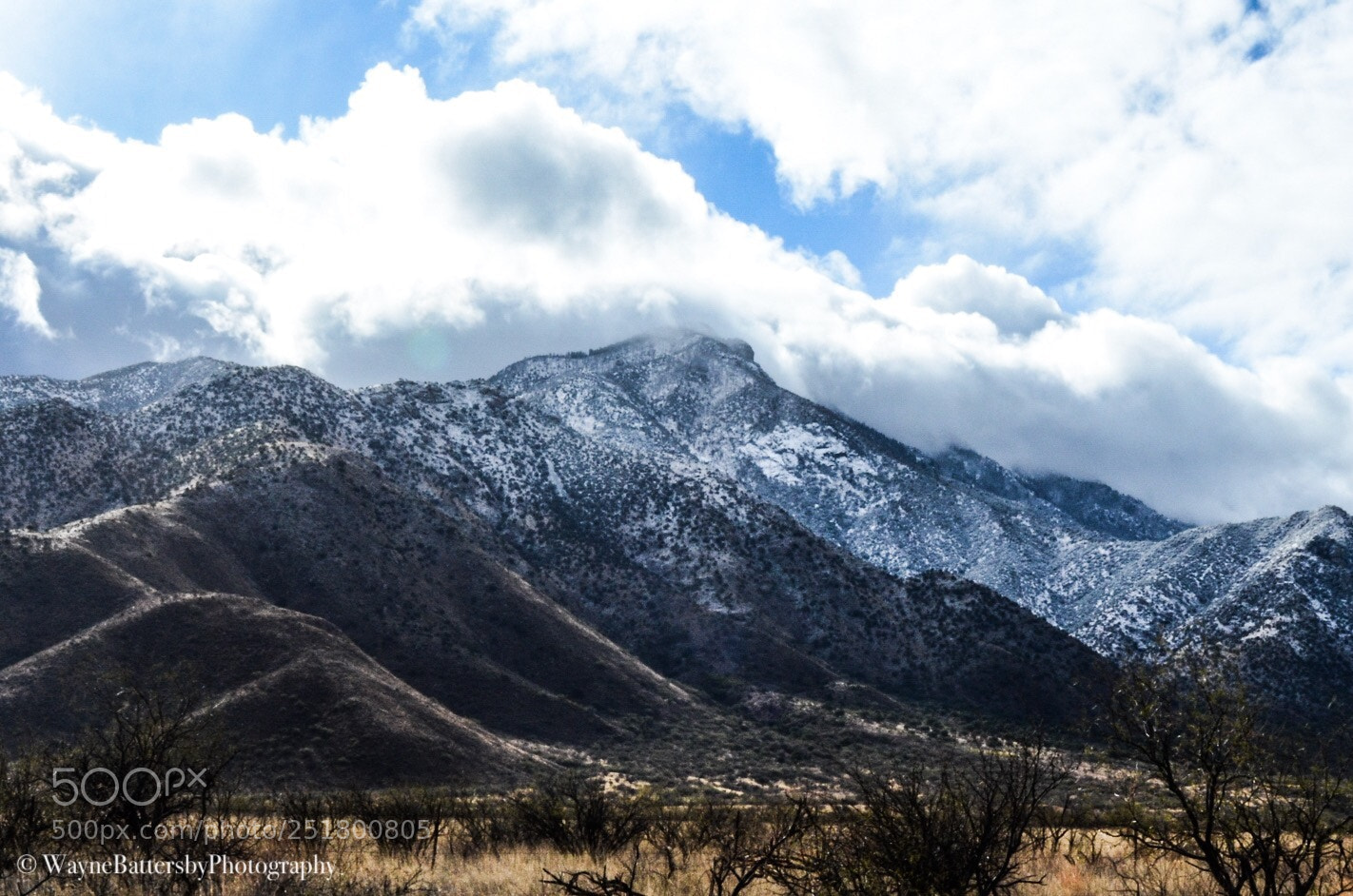 Nikon D7000 sample photo. Untitled photography