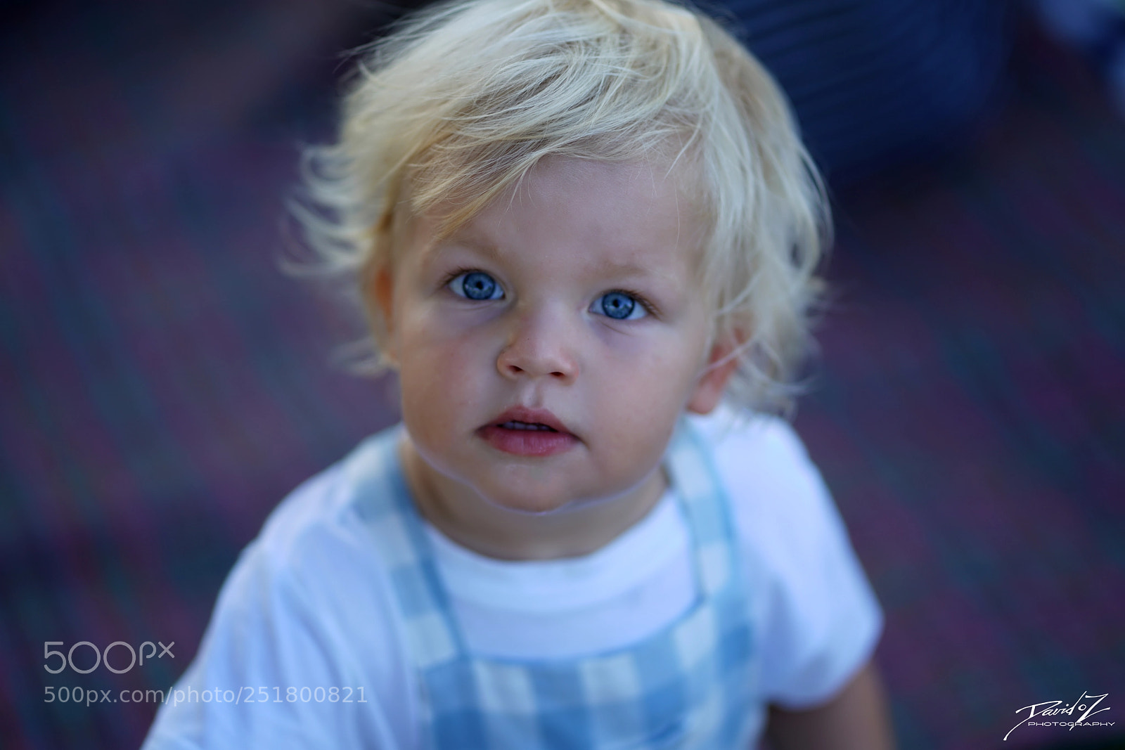 Sony a7R II sample photo. Winnie oz photography