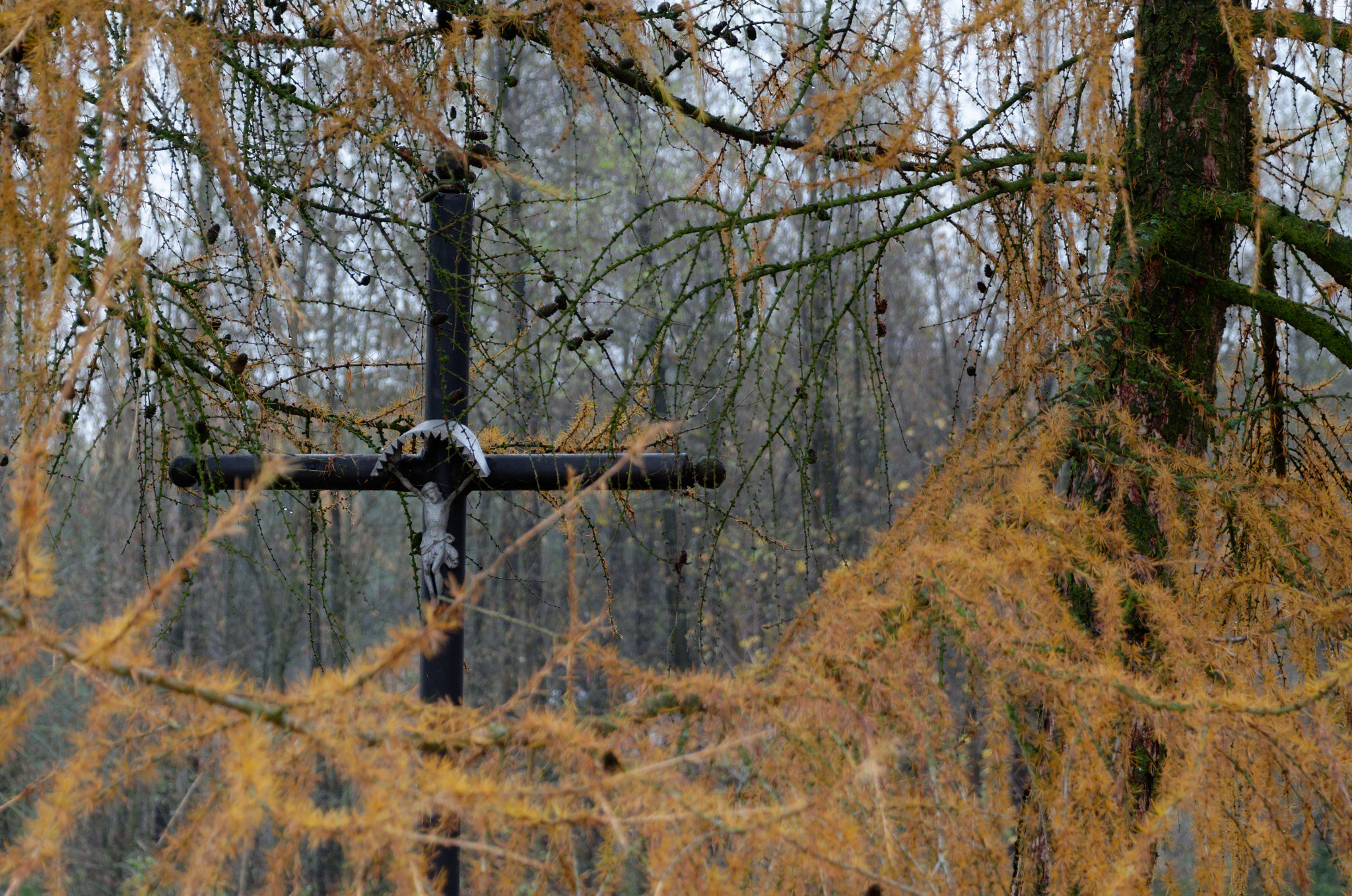Nikon D7000 sample photo. Polish village 3 photography