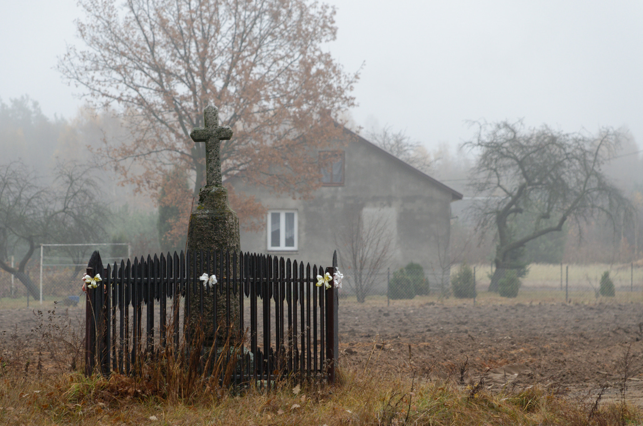 Nikon D7000 sample photo. Polish village 2 photography