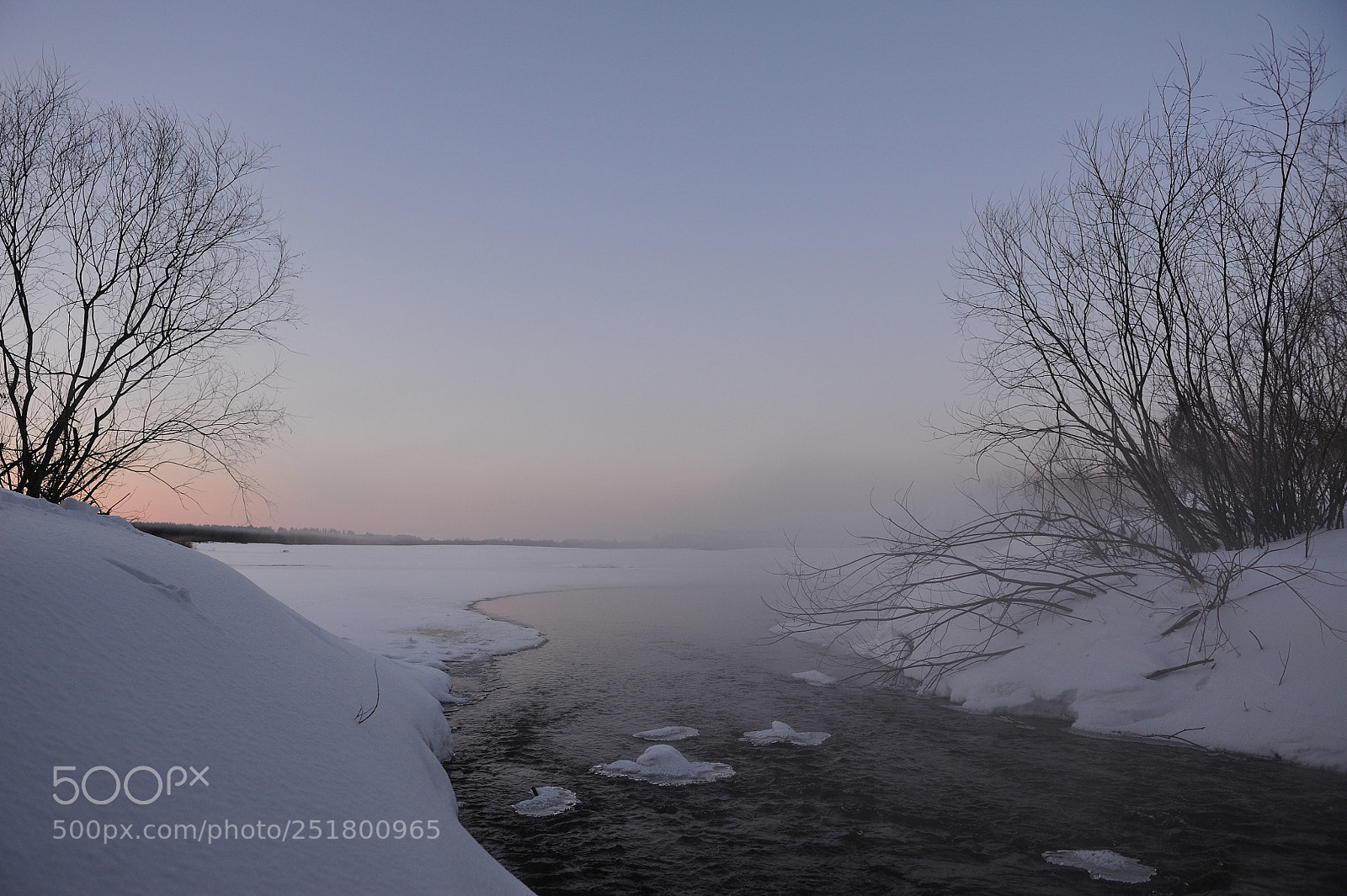 Nikon D700 sample photo. Frosty evening on the photography