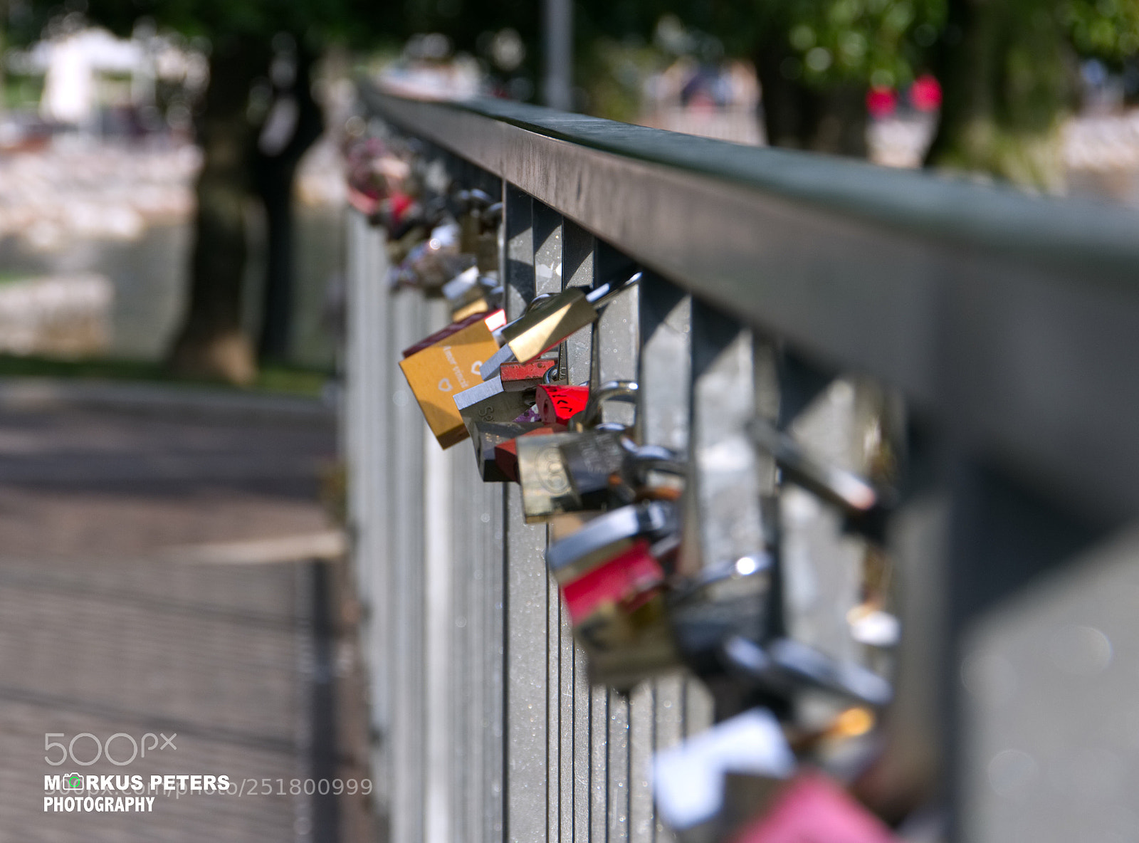 Pentax K-3 II sample photo. Love.. photography