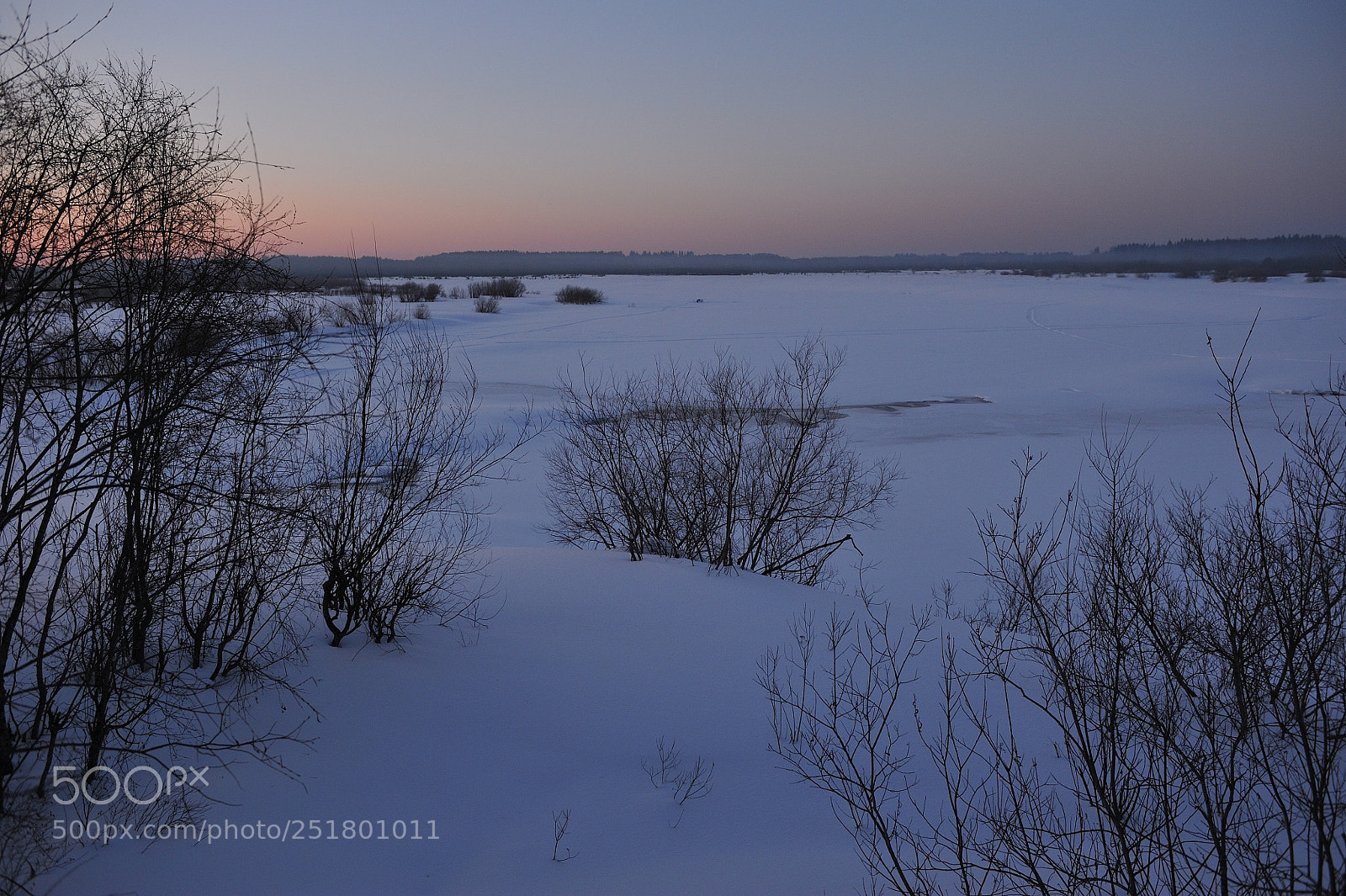 Nikon D700 sample photo. Frosty evening on the photography