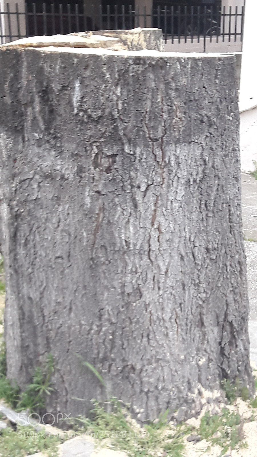 Samsung Galaxy A5(2016) sample photo. Untitled photography