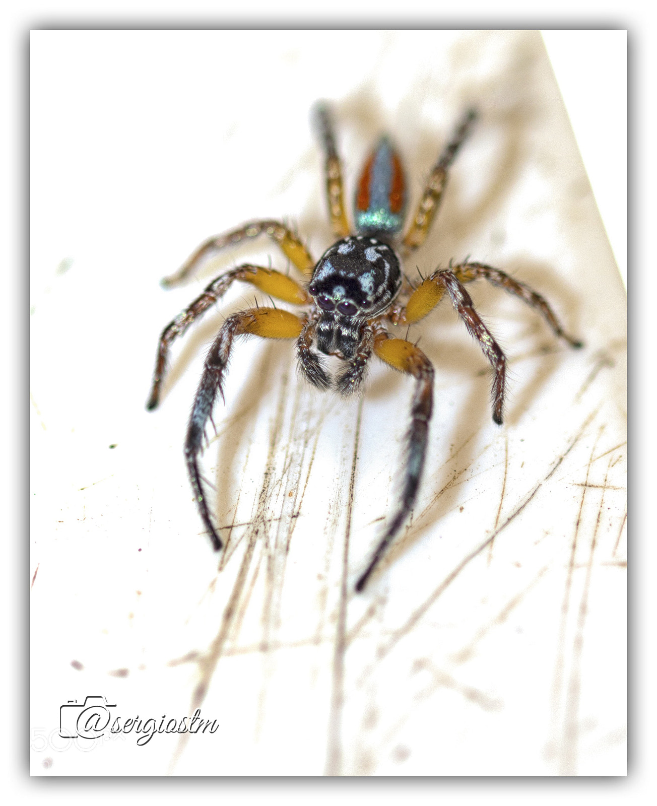 Nikon D7100 sample photo. Colorful  photography